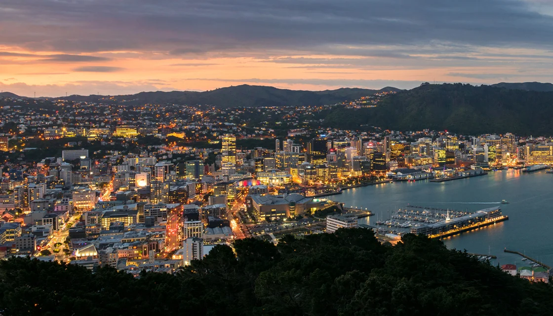 wellington-skyline-twilight-house-houses-housing-GettyImages-625754016-1120.jpg