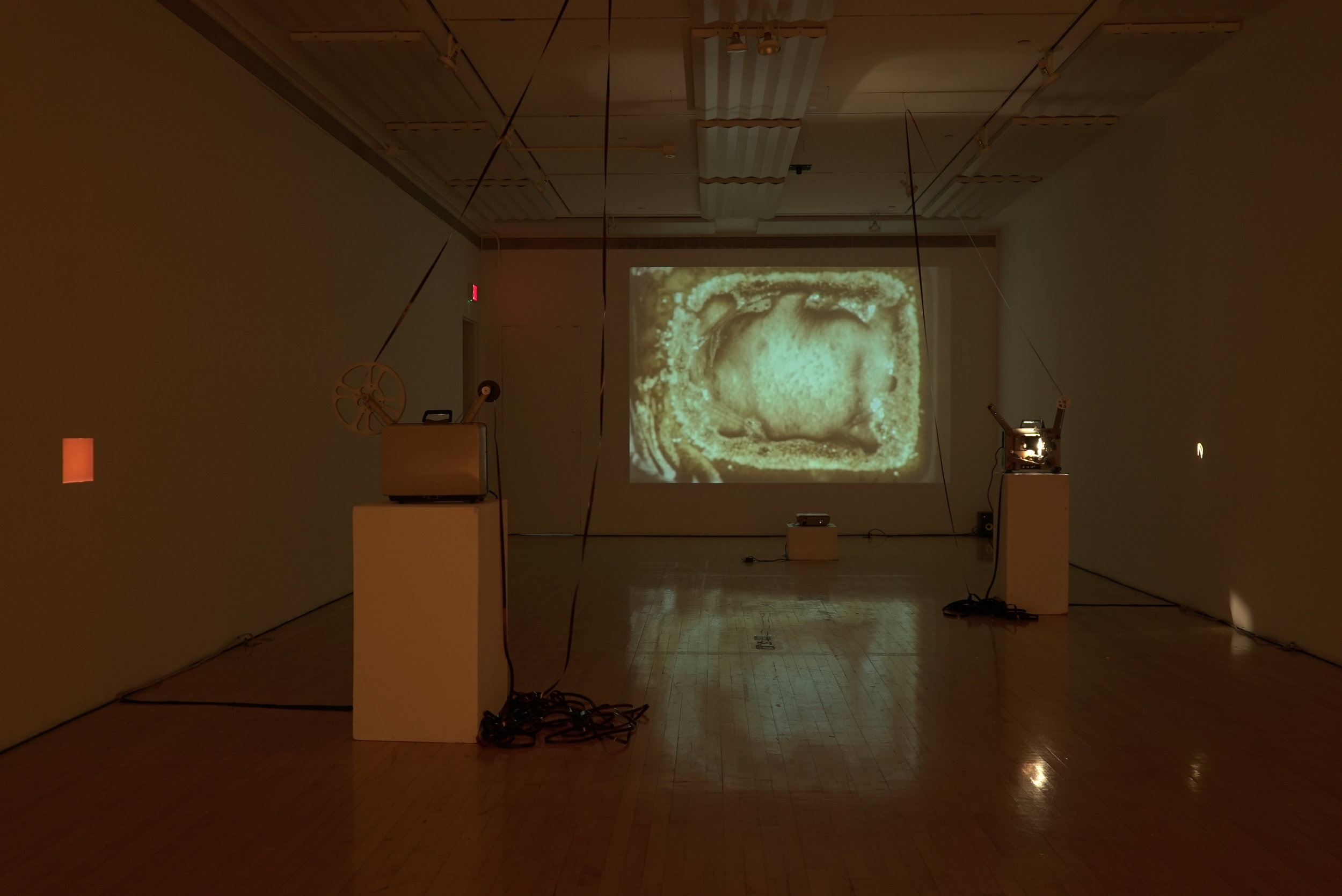  Sept 2017. 16mm film and digital projection. Olive Tjaden Gallery.&nbsp;Ithaca, NY. Installation view, west wall. 