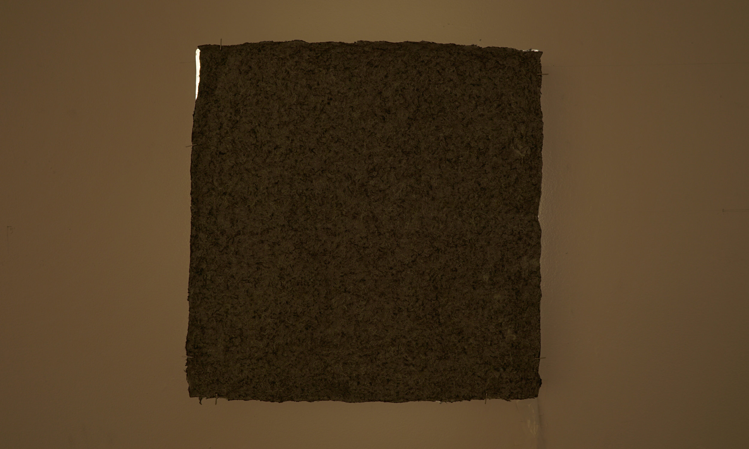 May 2018. 16”x16” handmade paper from wool, east wall. Olive Tjaden Gallery, Cornell University.