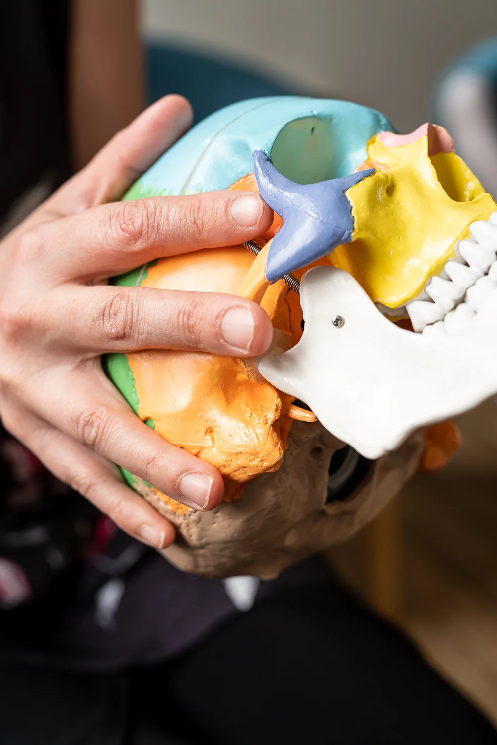 cranio-skull-7453.jpg