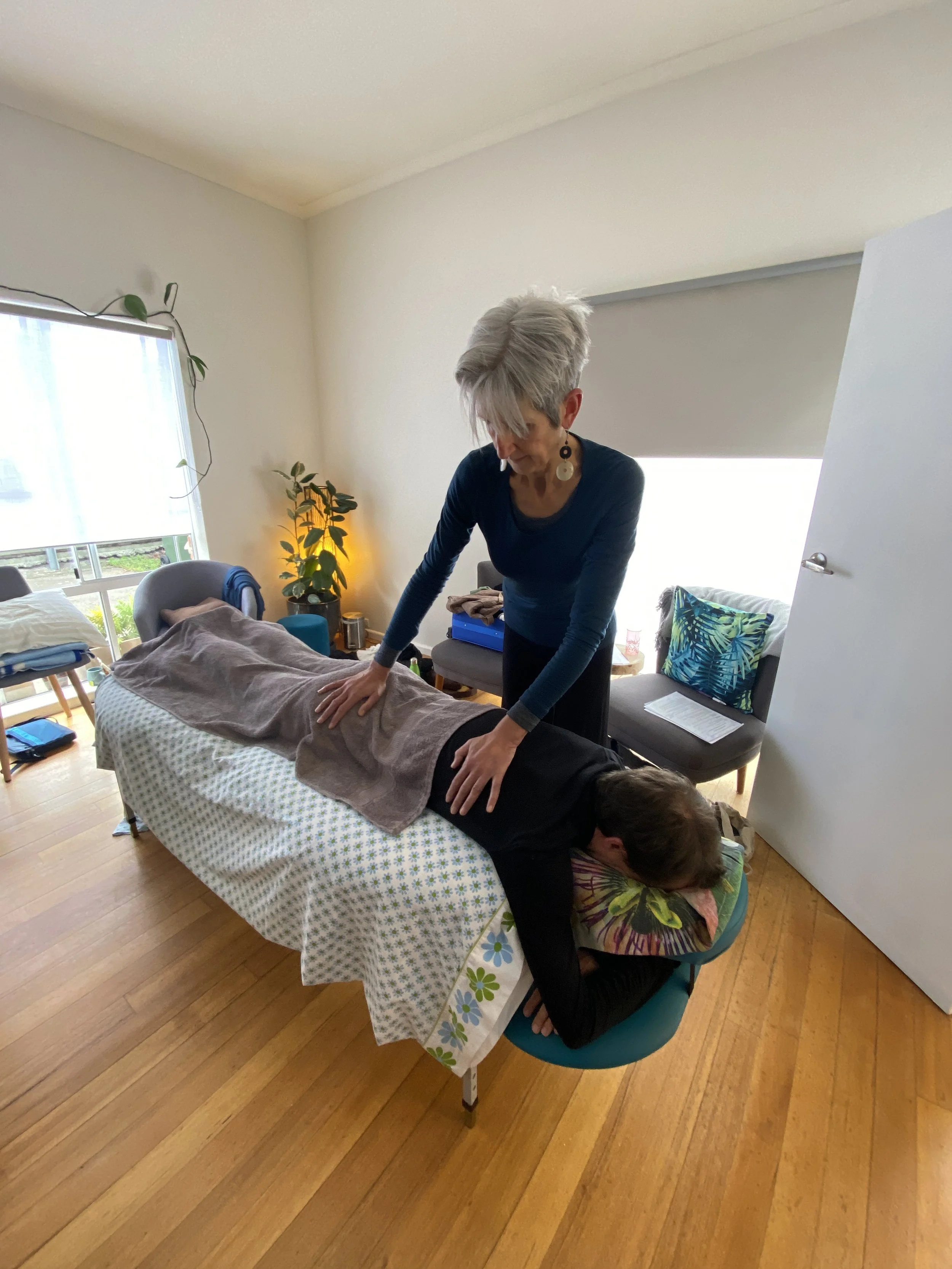 Shiatsu spring workshop