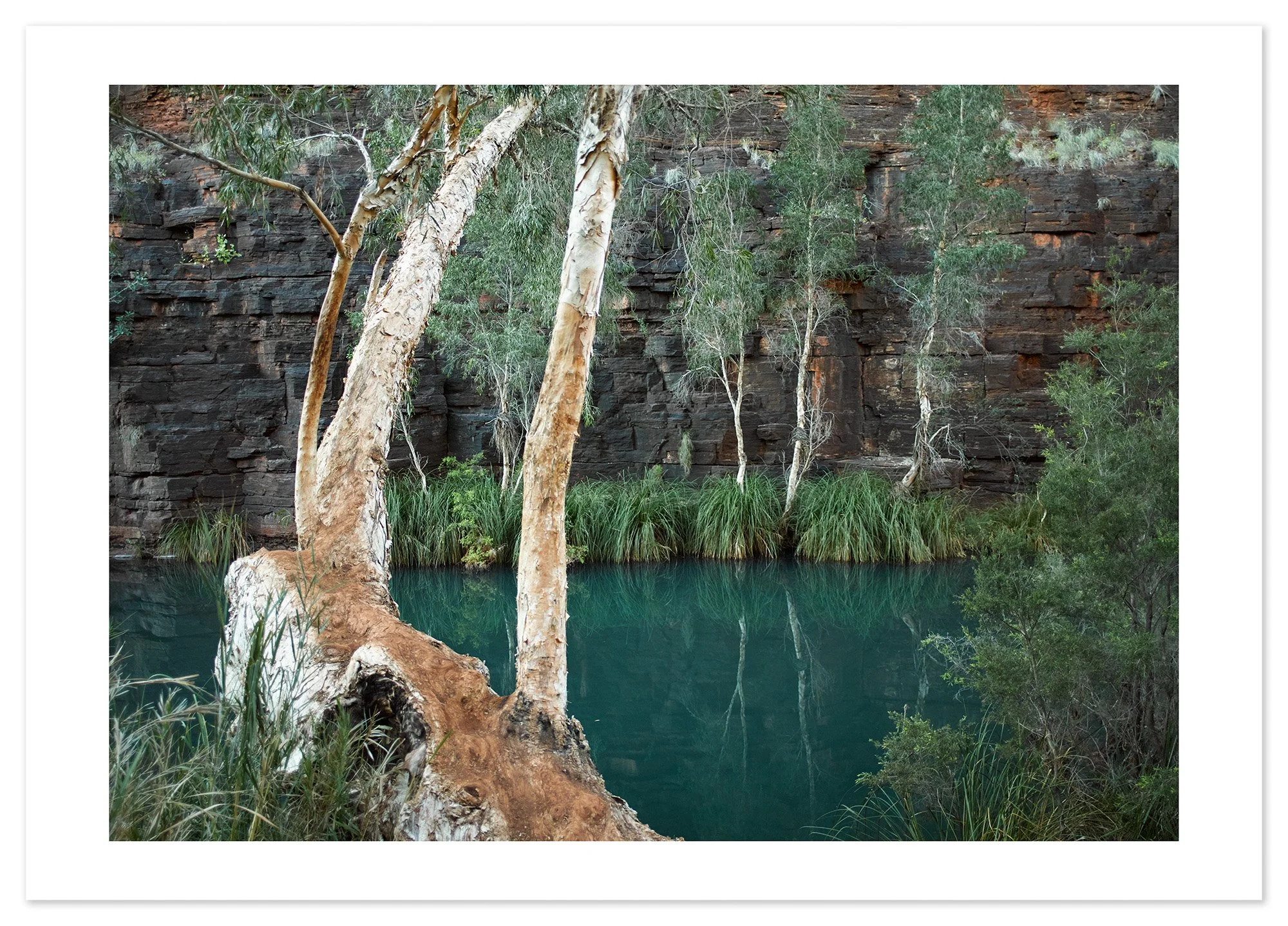 Dales Gorge (A0) for web.jpg