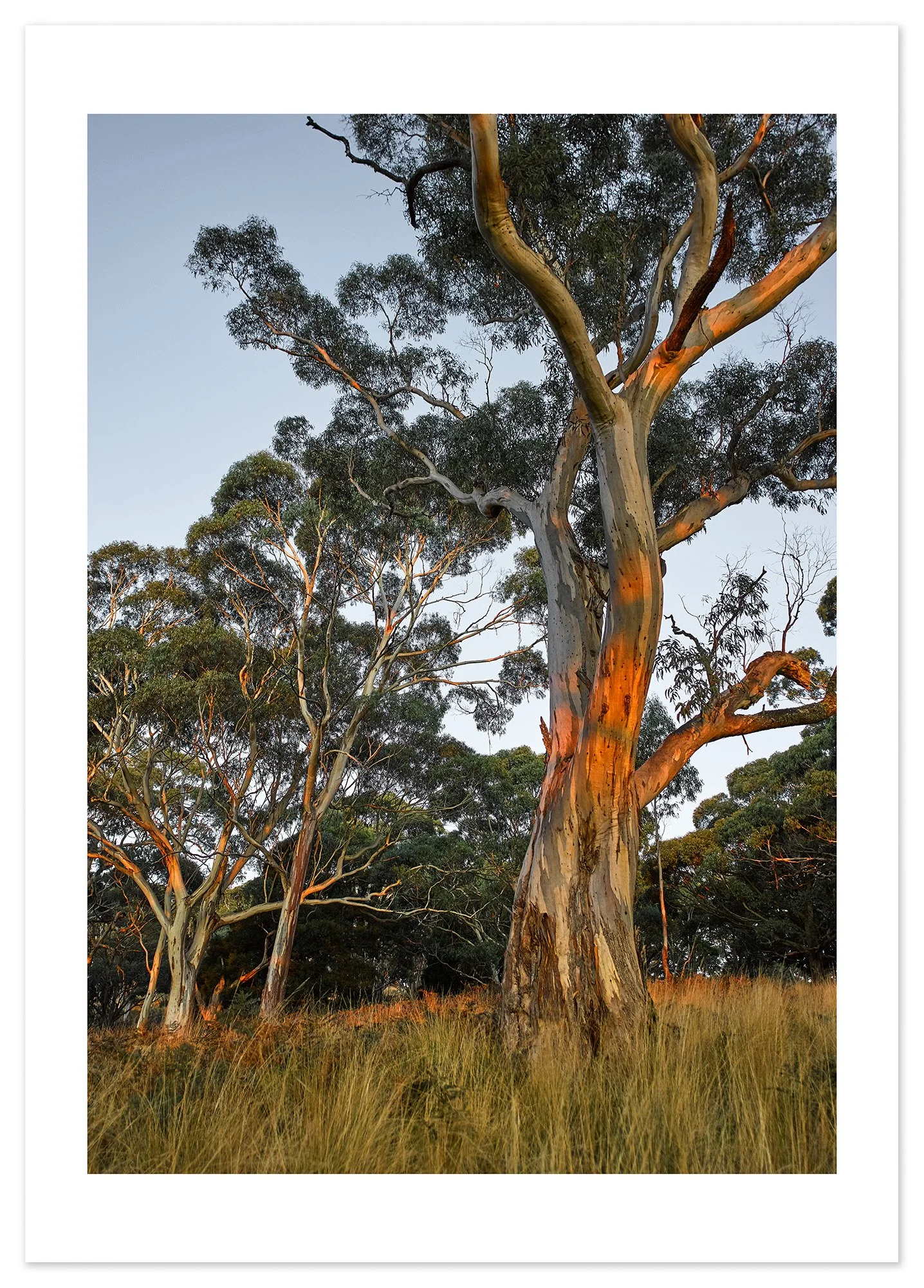 Mt Buninyong at dusk 03 (A1) for web.jpg