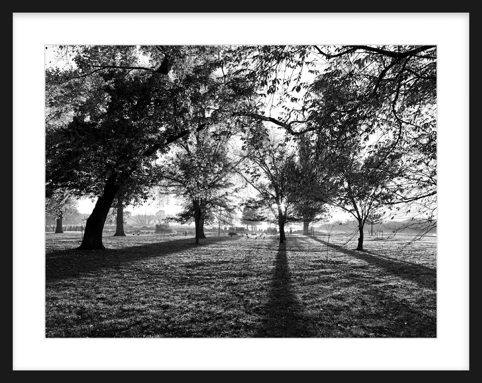 Long Shadows - 18" x 24" black.jpg