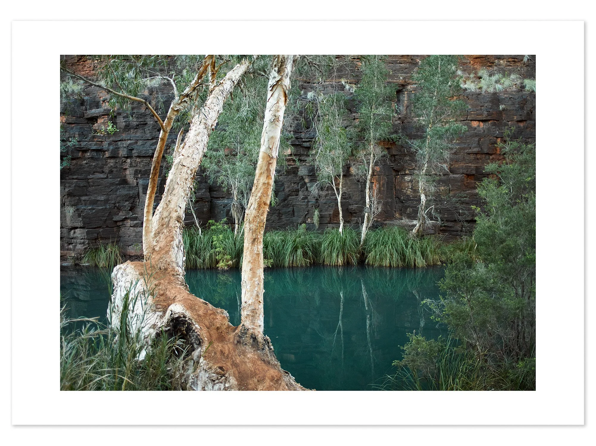 Dales Gorge (A2) for web.jpg
