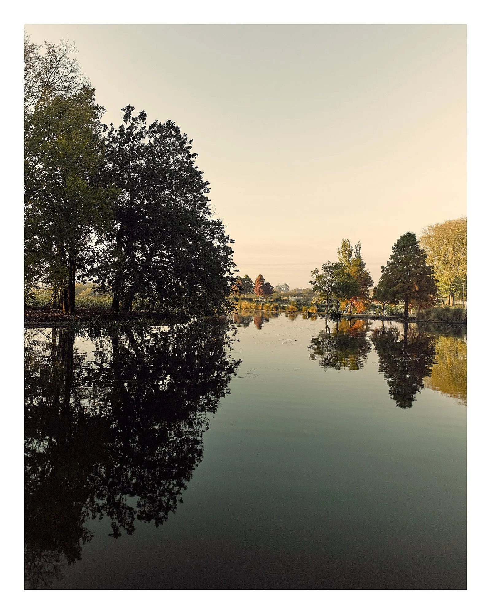 Fairyland - 16" x 20" - print 20mm border.jpg