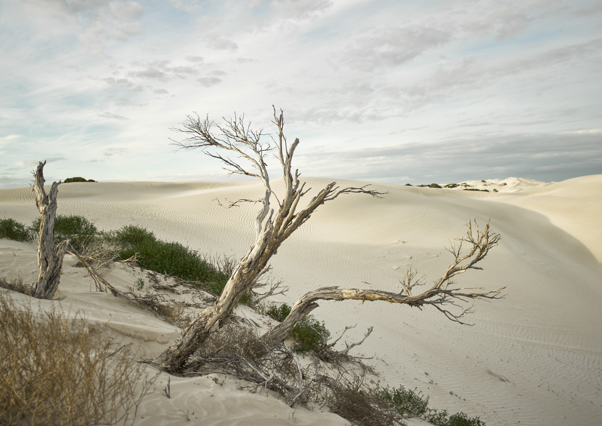 Yanerbie Sand Dunes, 2015