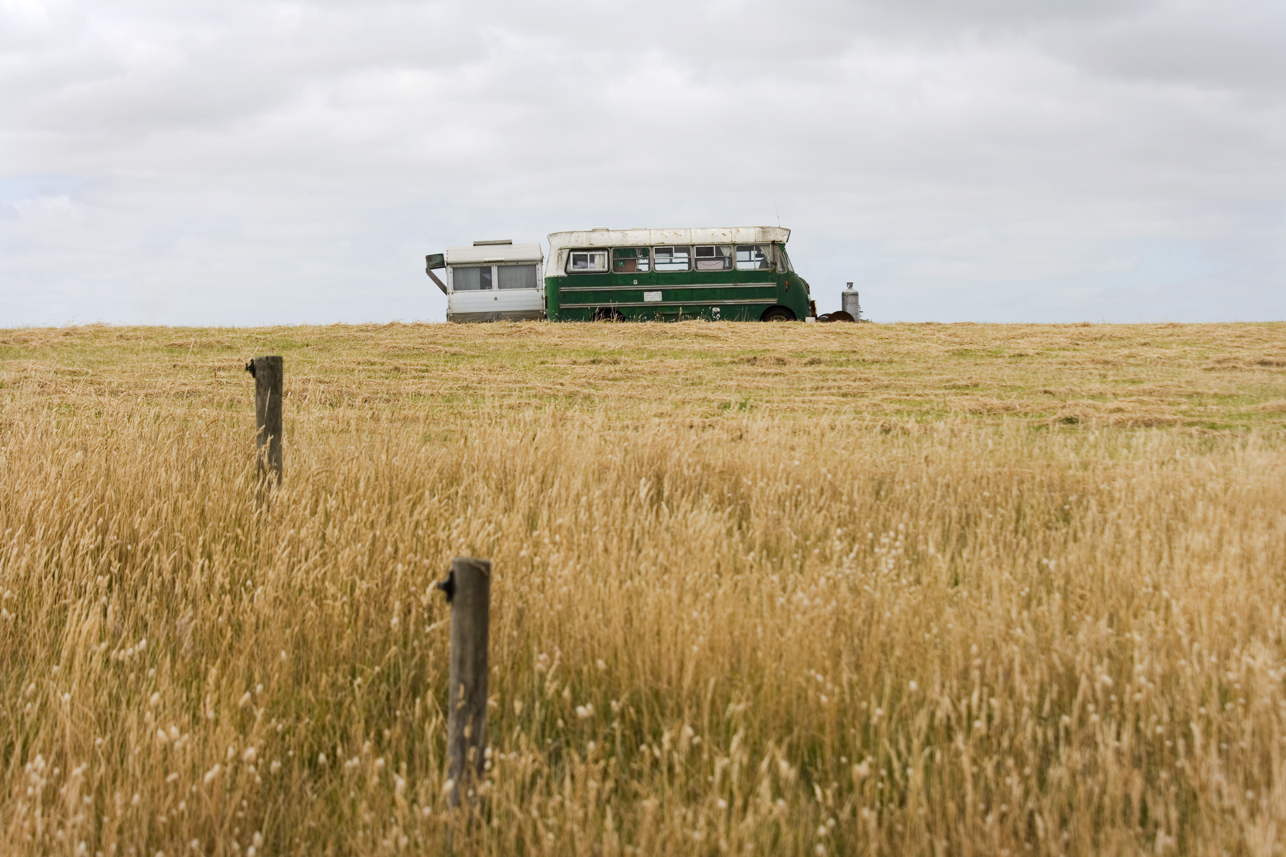 Mown Paddock, 2013