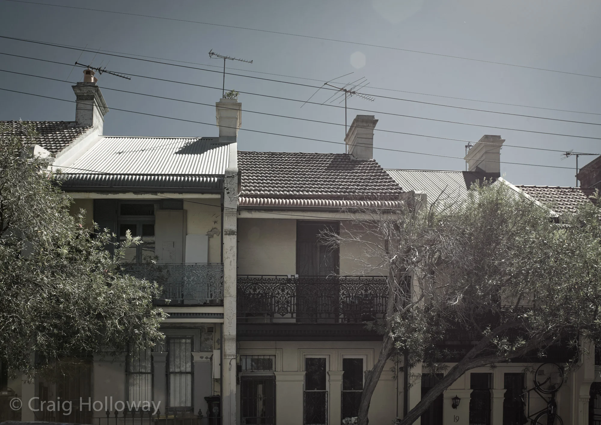 Paddington Terraces