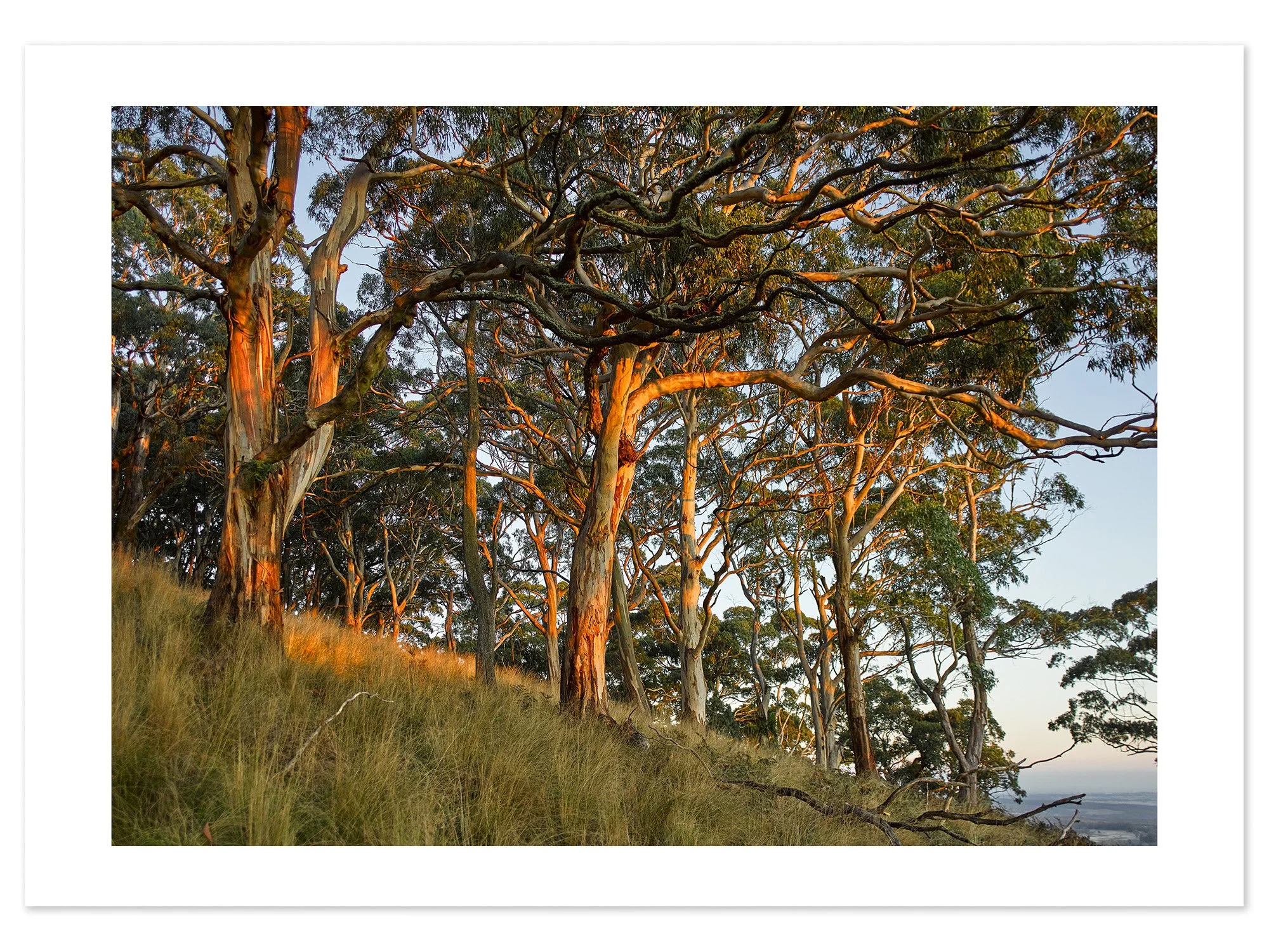 Mt Buninyong at dusk 02 (A1) for web.jpg
