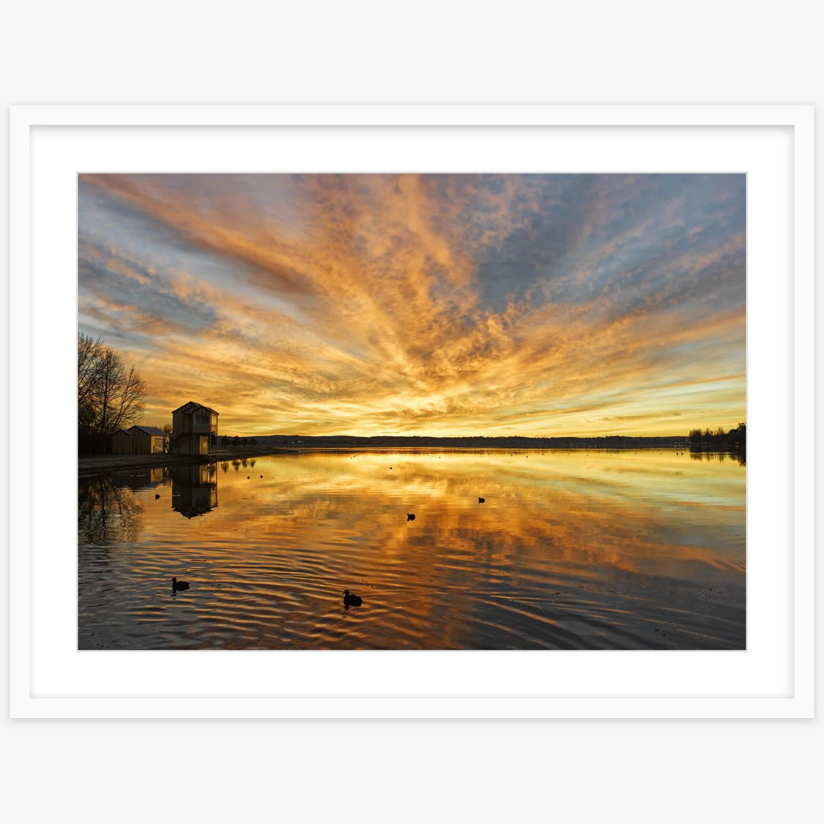 Lake Wendouree sunrise - 500mm x 700mm white - square.jpg