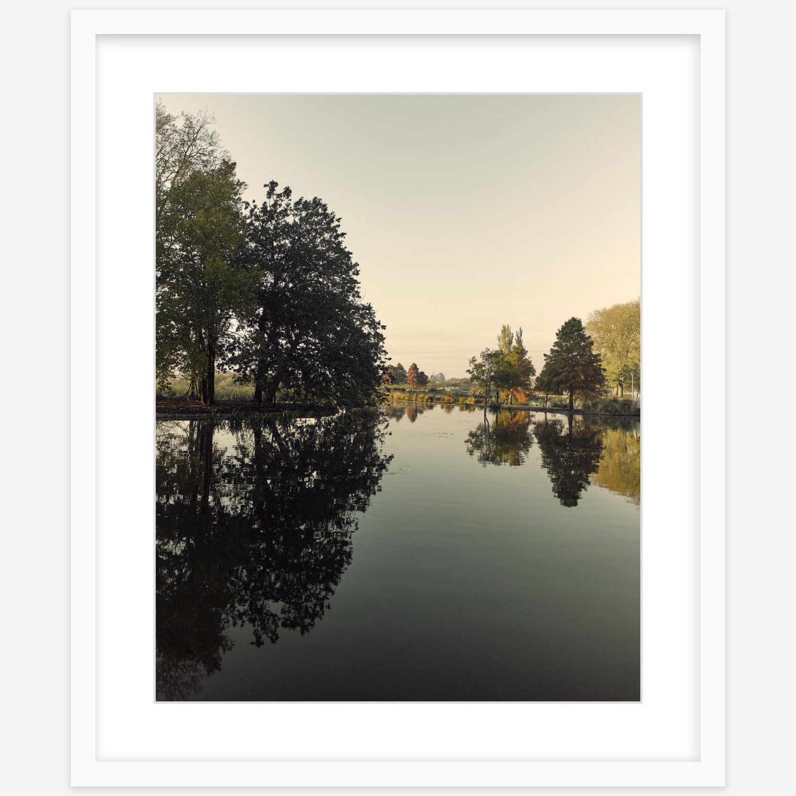 Fairyland - 16" x 20" - white - square.jpg