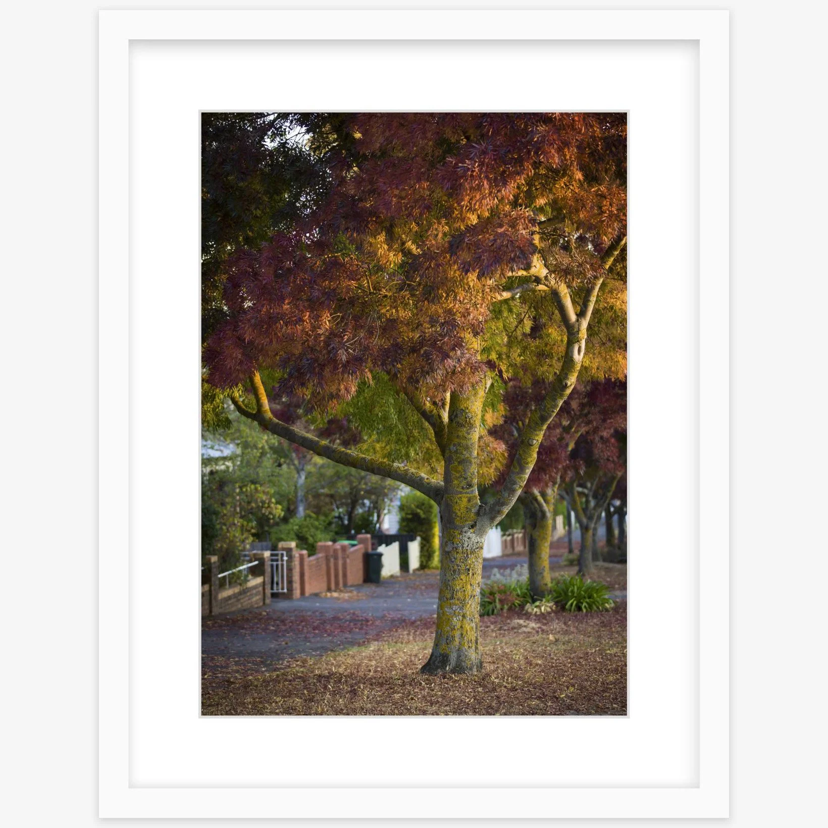 Lydiard St Nth - 297mm x 420mm white - square.jpg