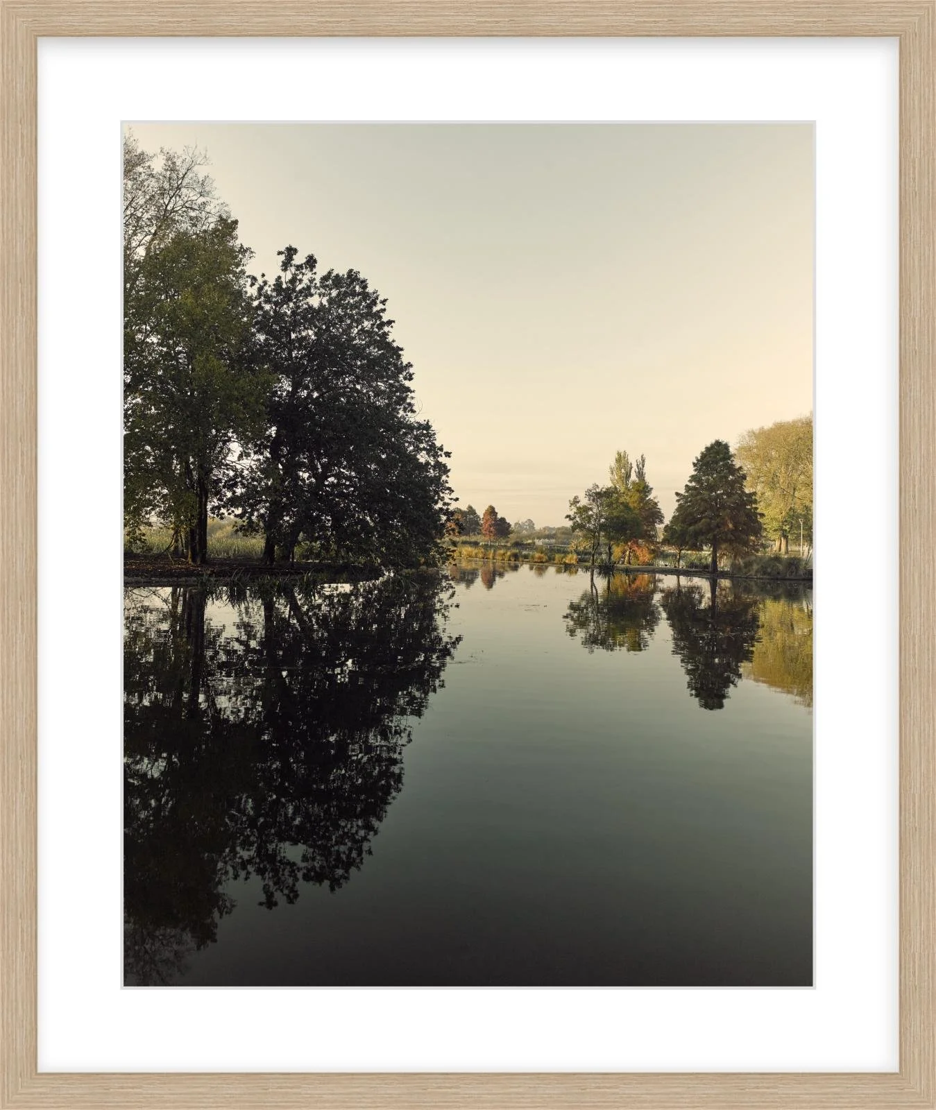 Fairyland - 16" x 20" - wood.jpg