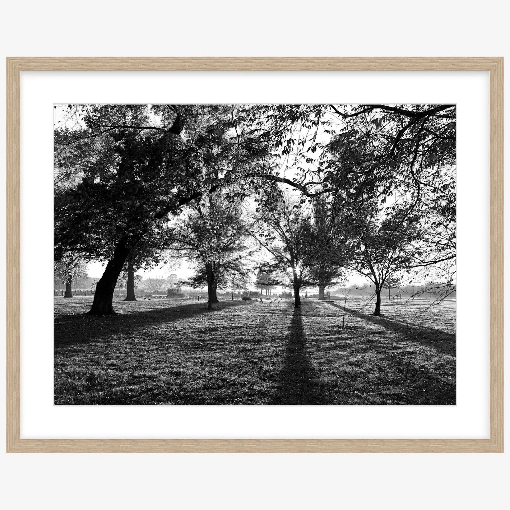 Long Shadows - 18" x 24" wood - square.jpg