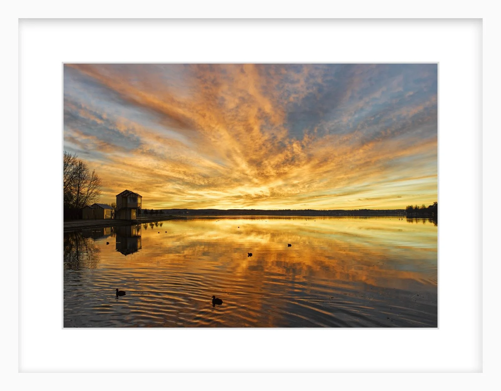 Lake Wendouree sunrise - 297mm x 420mm white.jpg