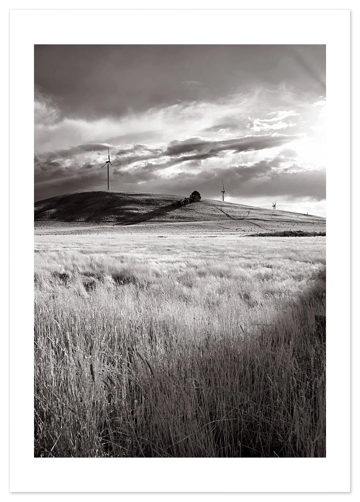 Waubra Wind Farm 02 (A1) for web.jpg