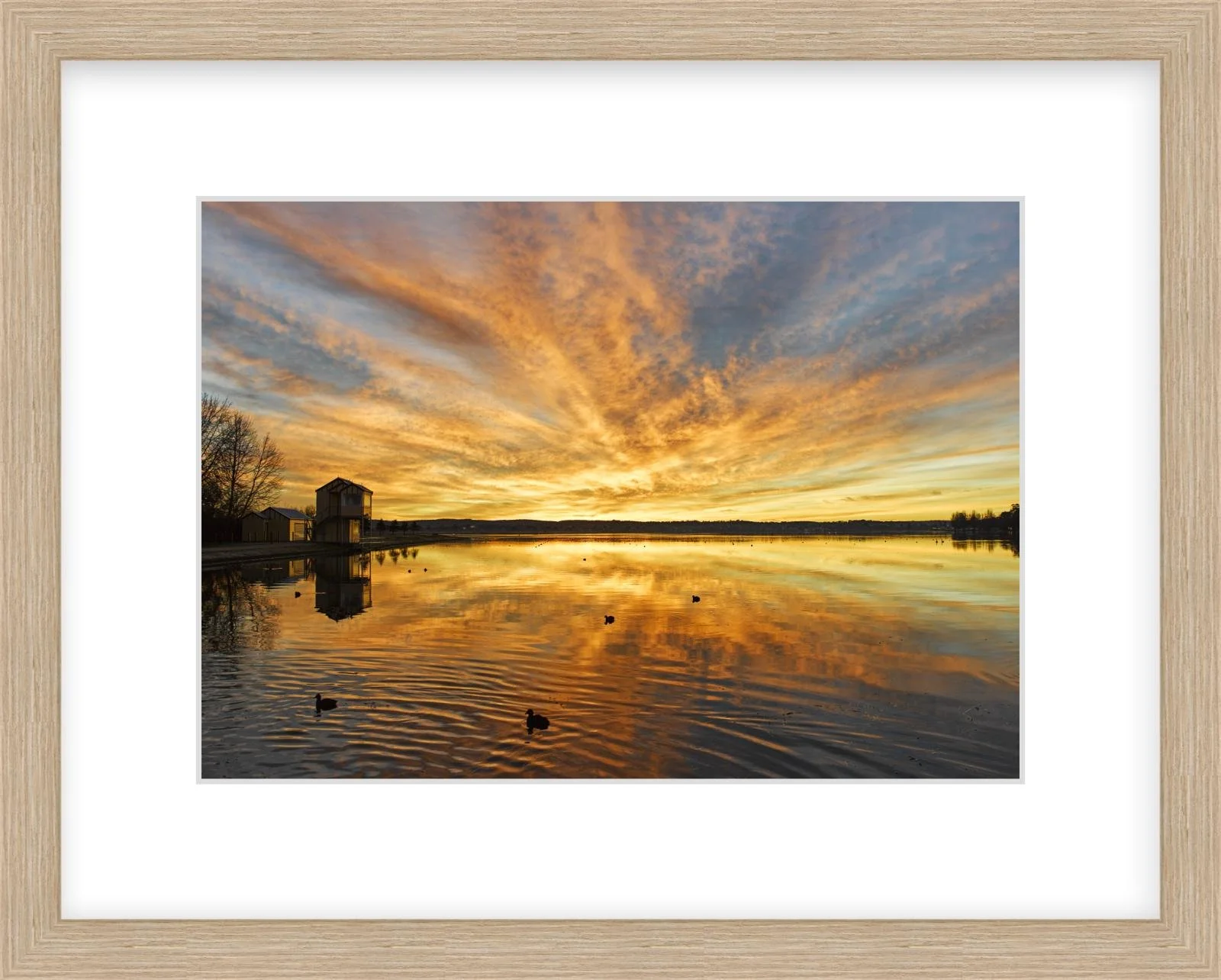 Lake Wendouree sunrise - 210mm x 297mm wood.jpg