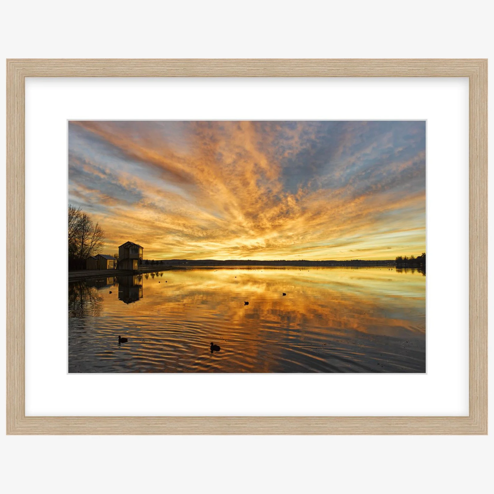 Lake Wendouree sunrise - 297mm x 420mm wood - square.jpg