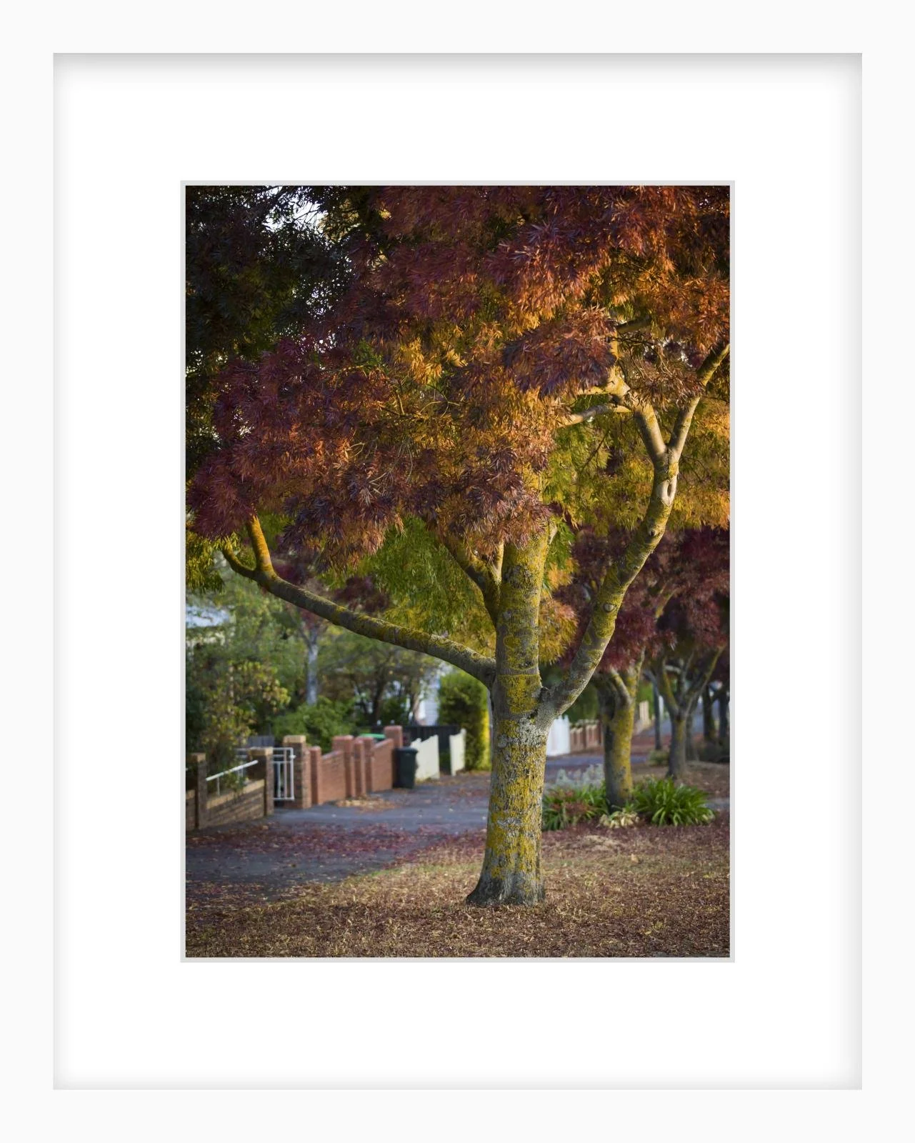 Lydiard St Nth - 210mm x 297mm white.jpg