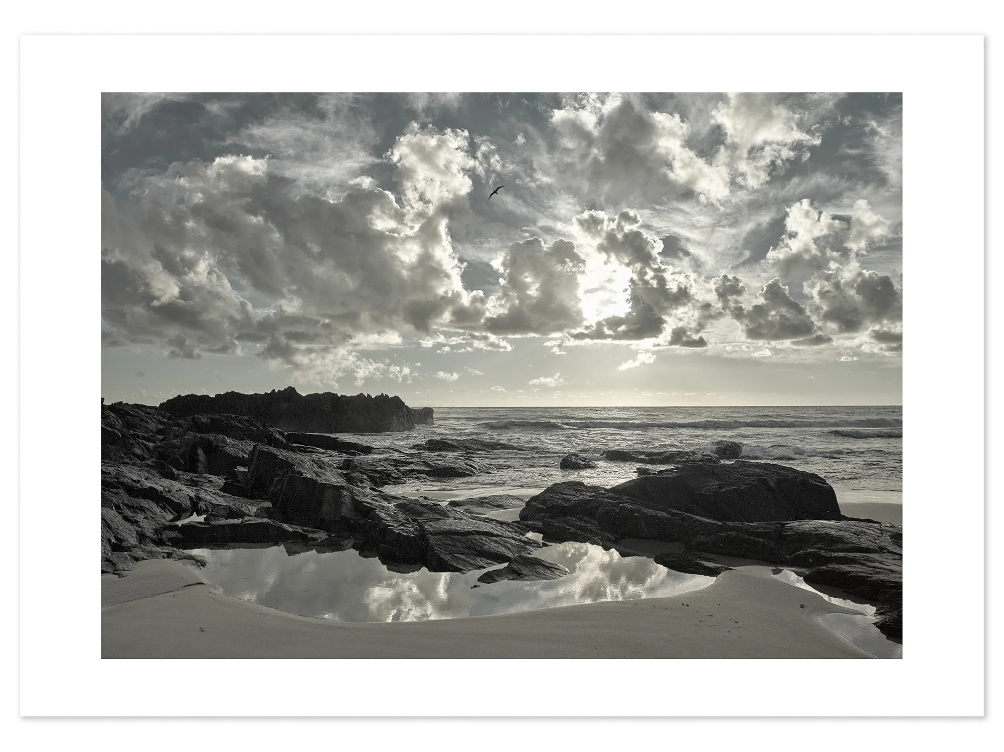 Scotts Head (A2) for web.jpg