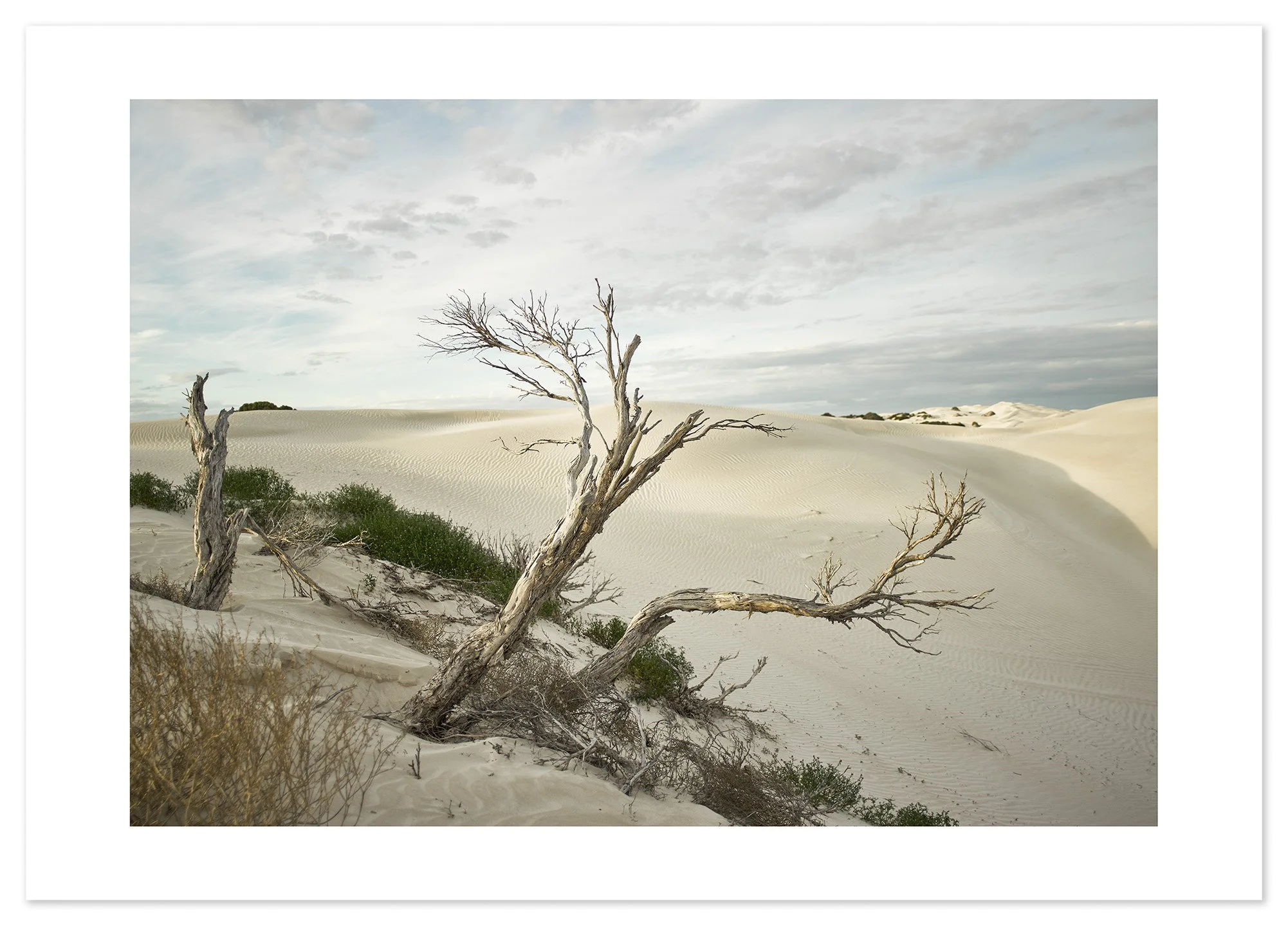 Yanerbie sand dunes (A2) for web.jpg