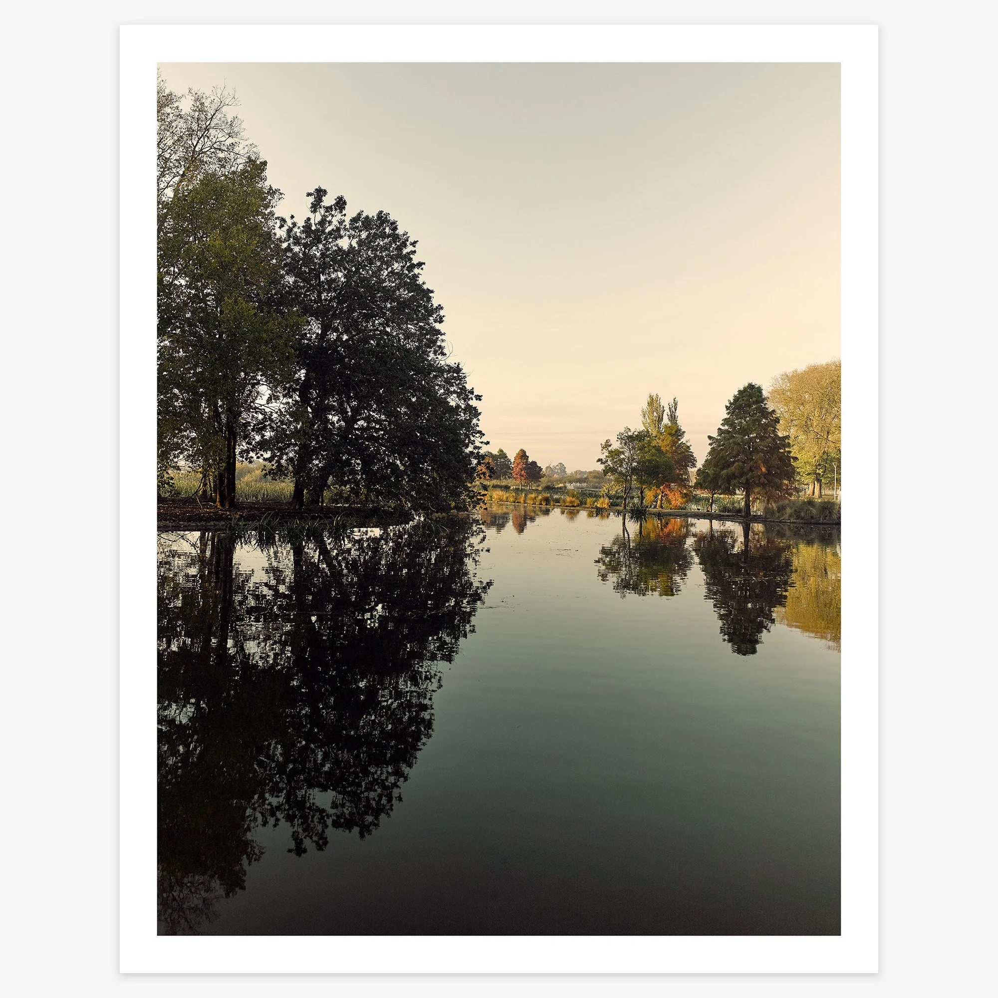 Fairyland - 16" x 20" - print 20mm border - square.jpg