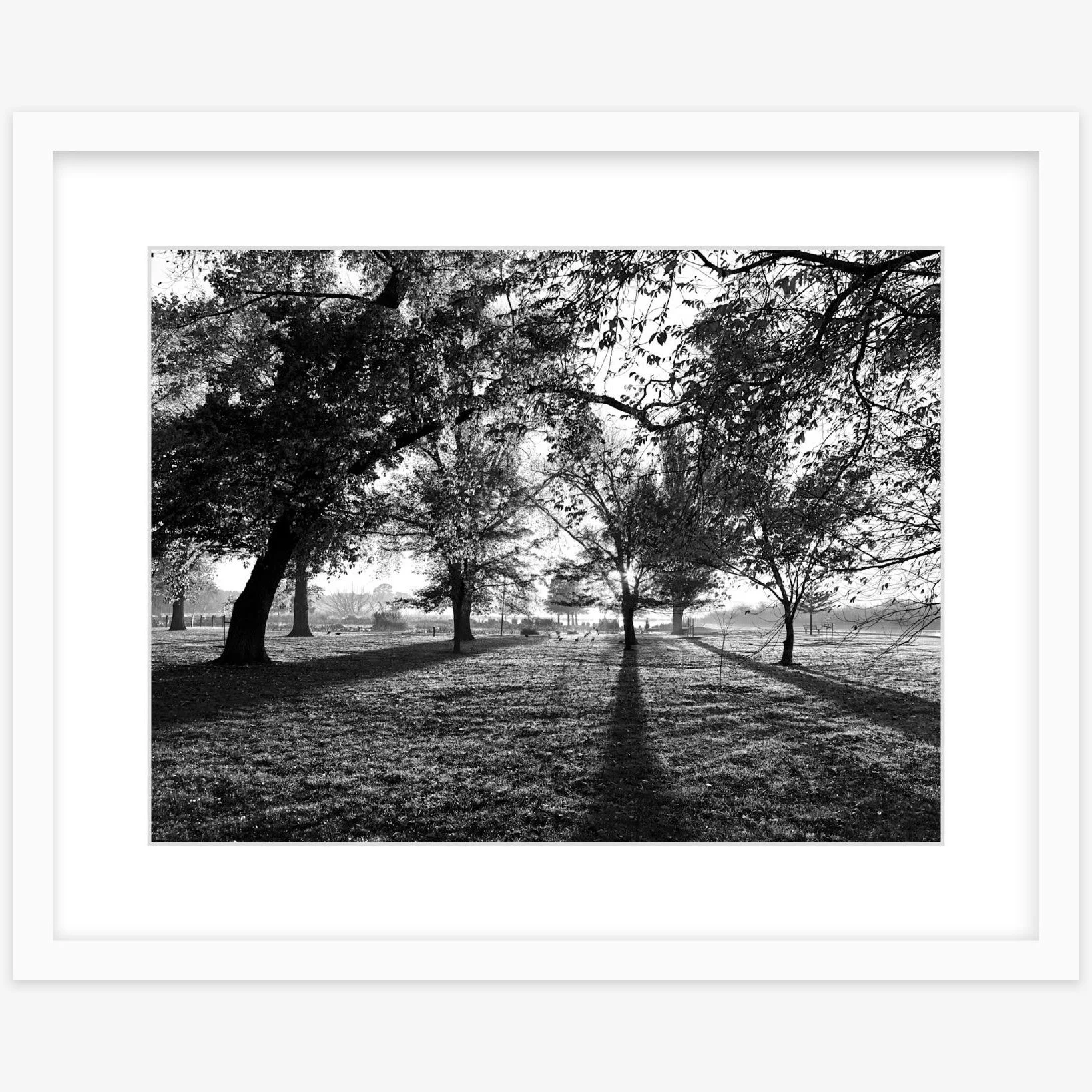Long Shadows - 12" x 16" white - square.jpg