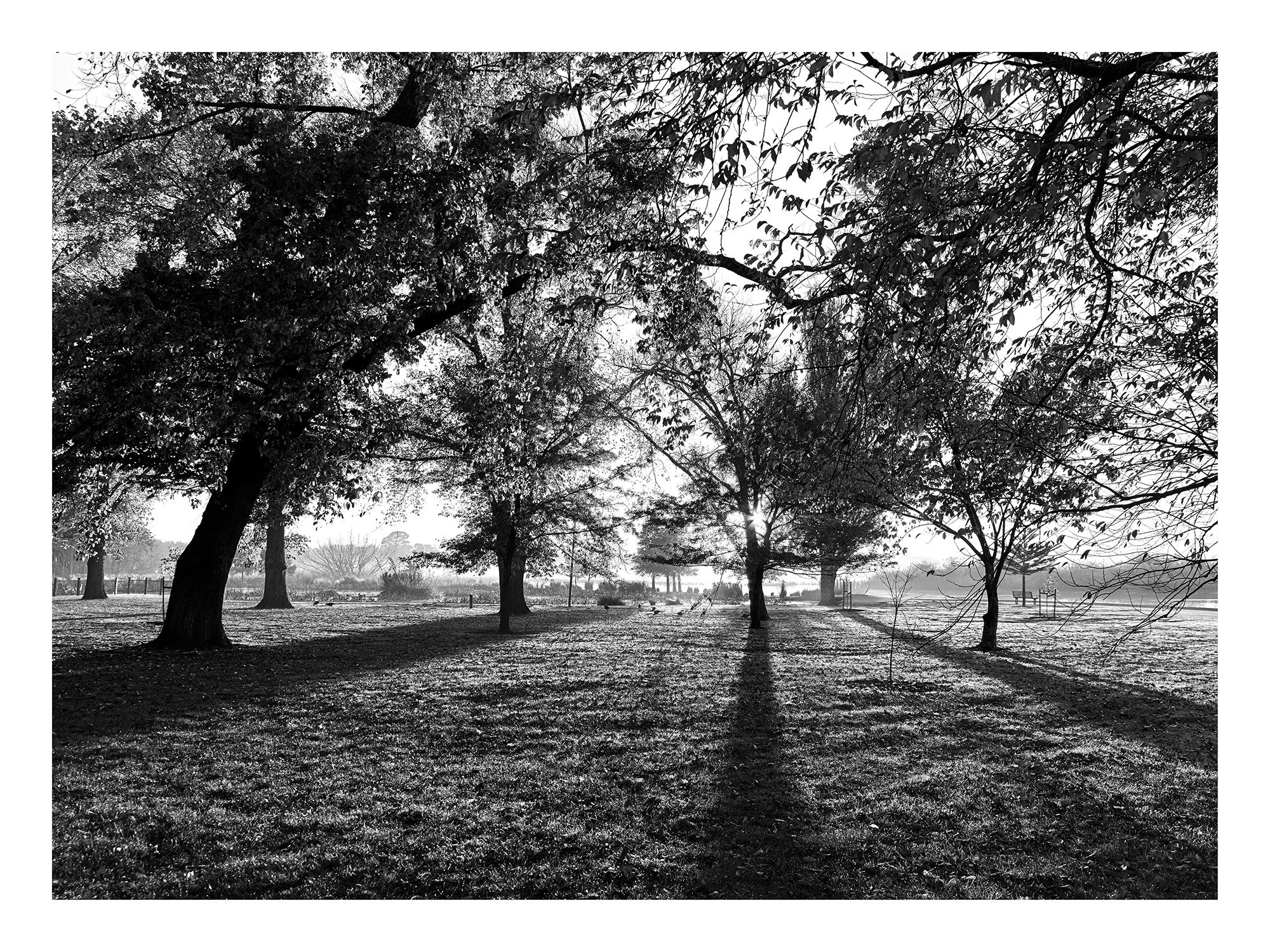 Long Shadows - 18" x 24" print 25mm border.jpg