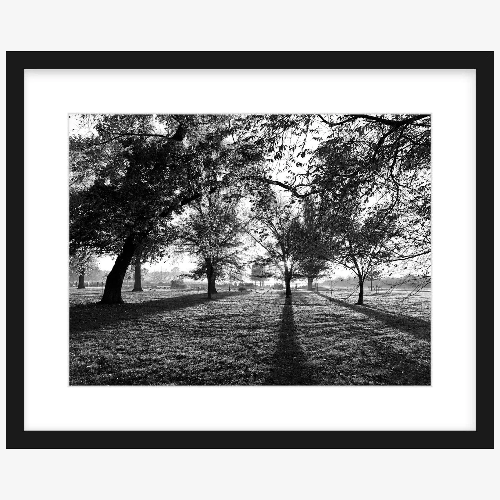 Long Shadows - 12" x 16" black - square.jpg