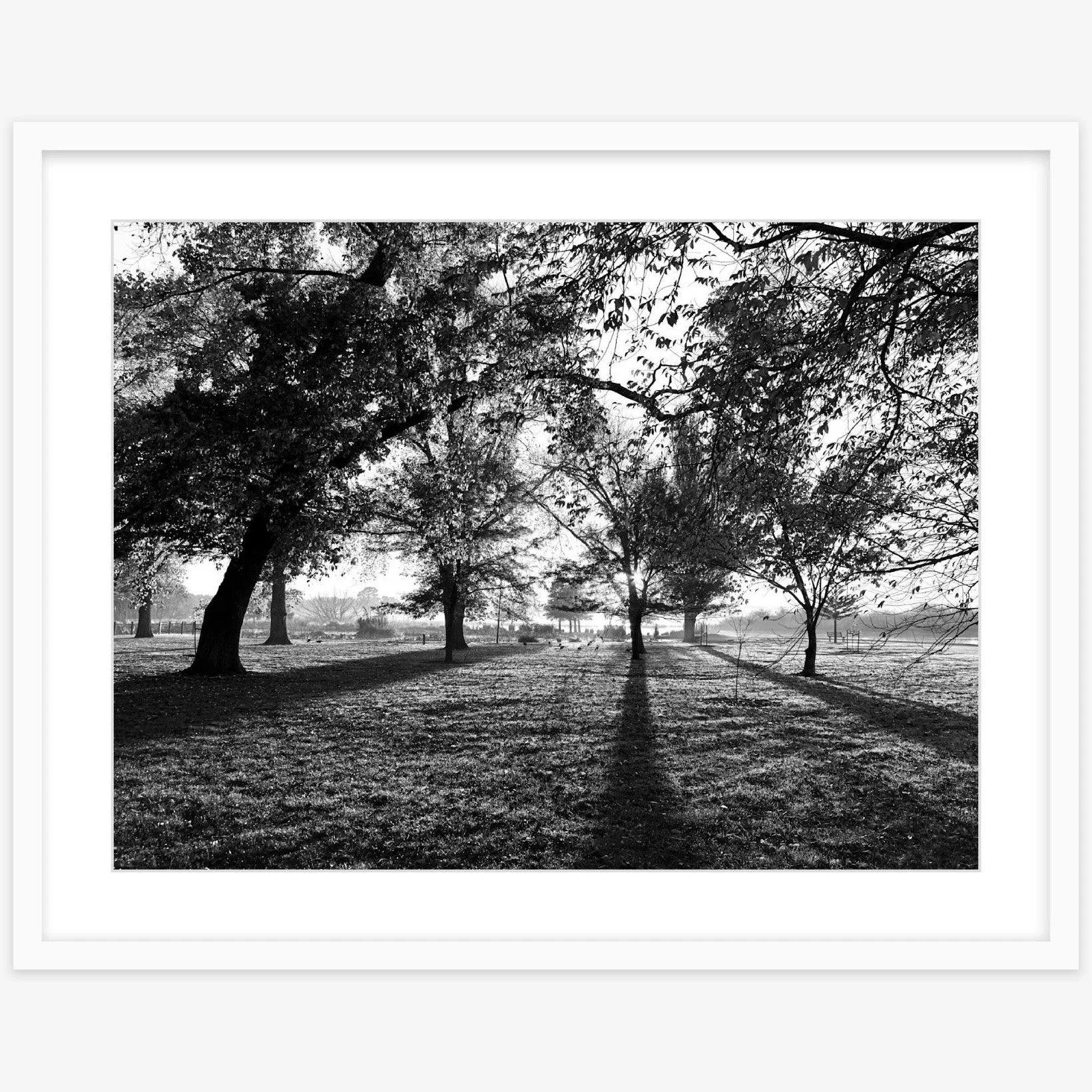 Long Shadows - 18" x 24" white - square.jpg