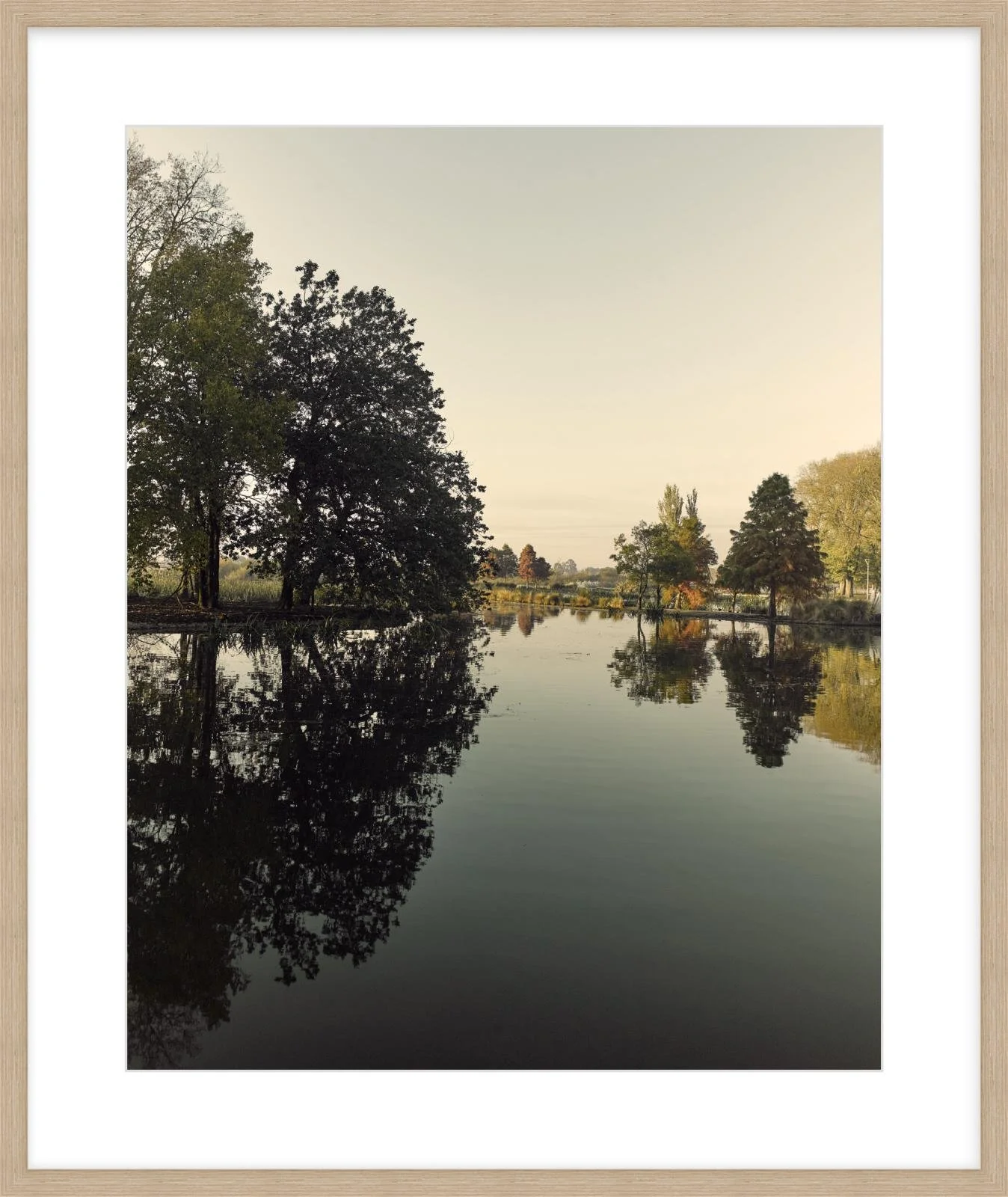 Fairyland - 24" x 30" - wood.jpg