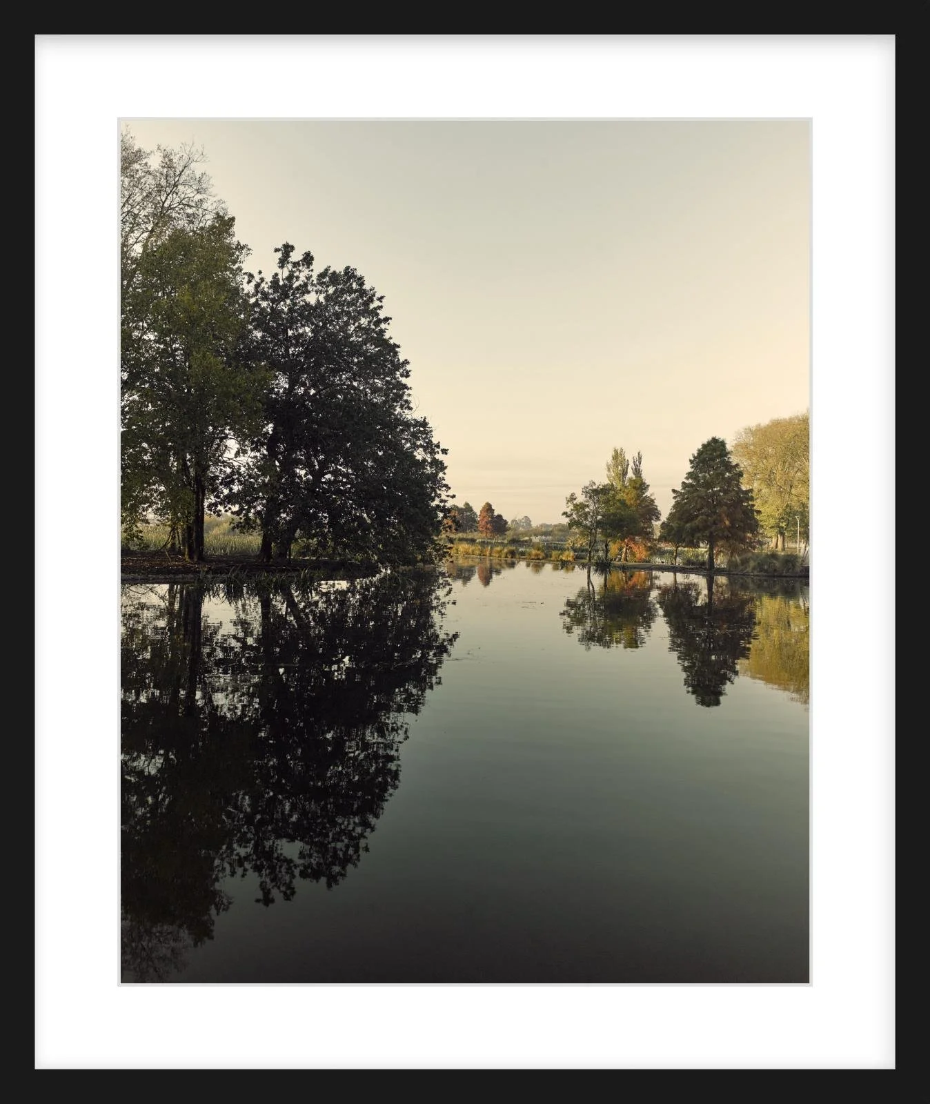 Fairyland - 16" x 20" - black.jpg