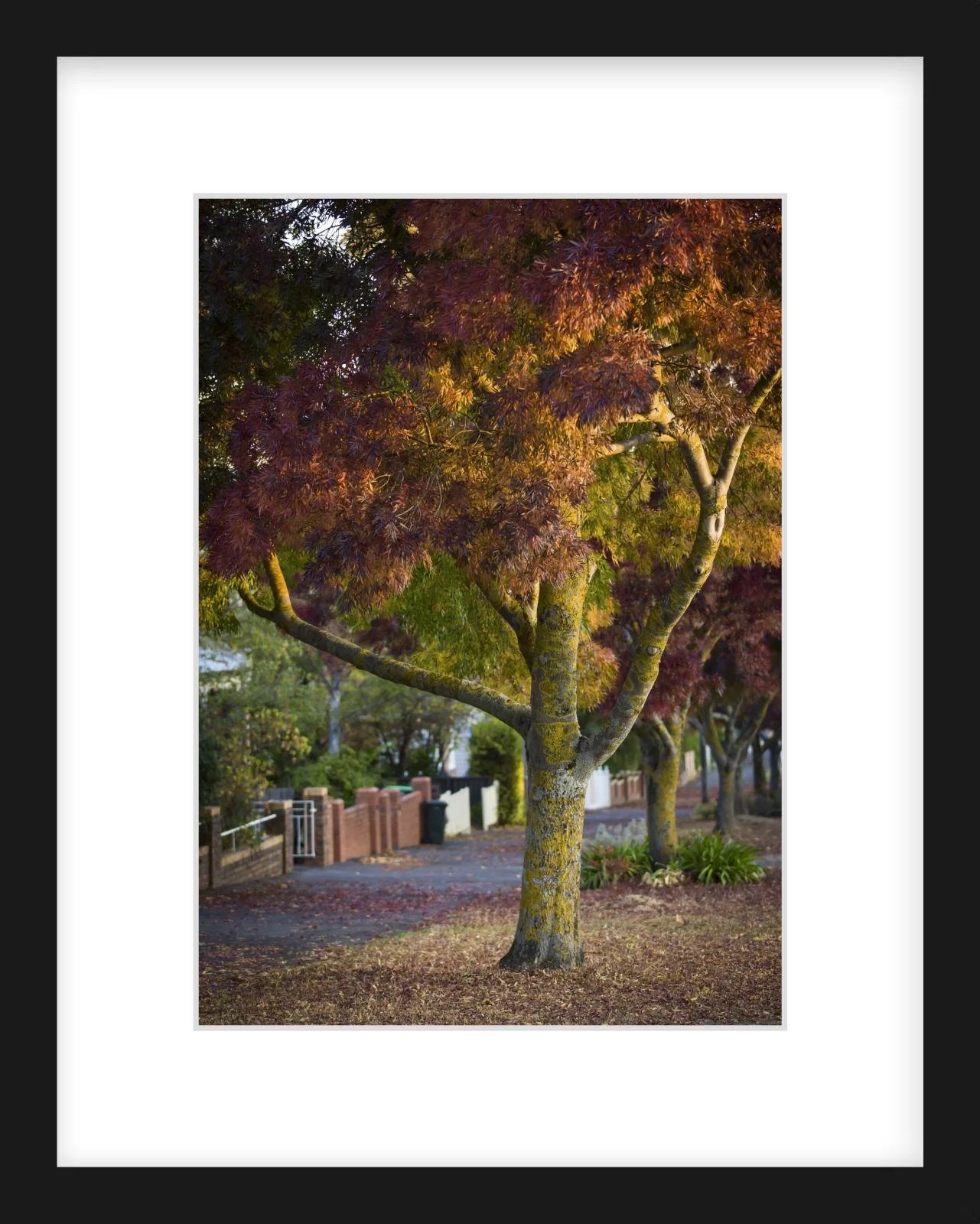 Lydiard St Nth - 210mm x 297mm black.jpg