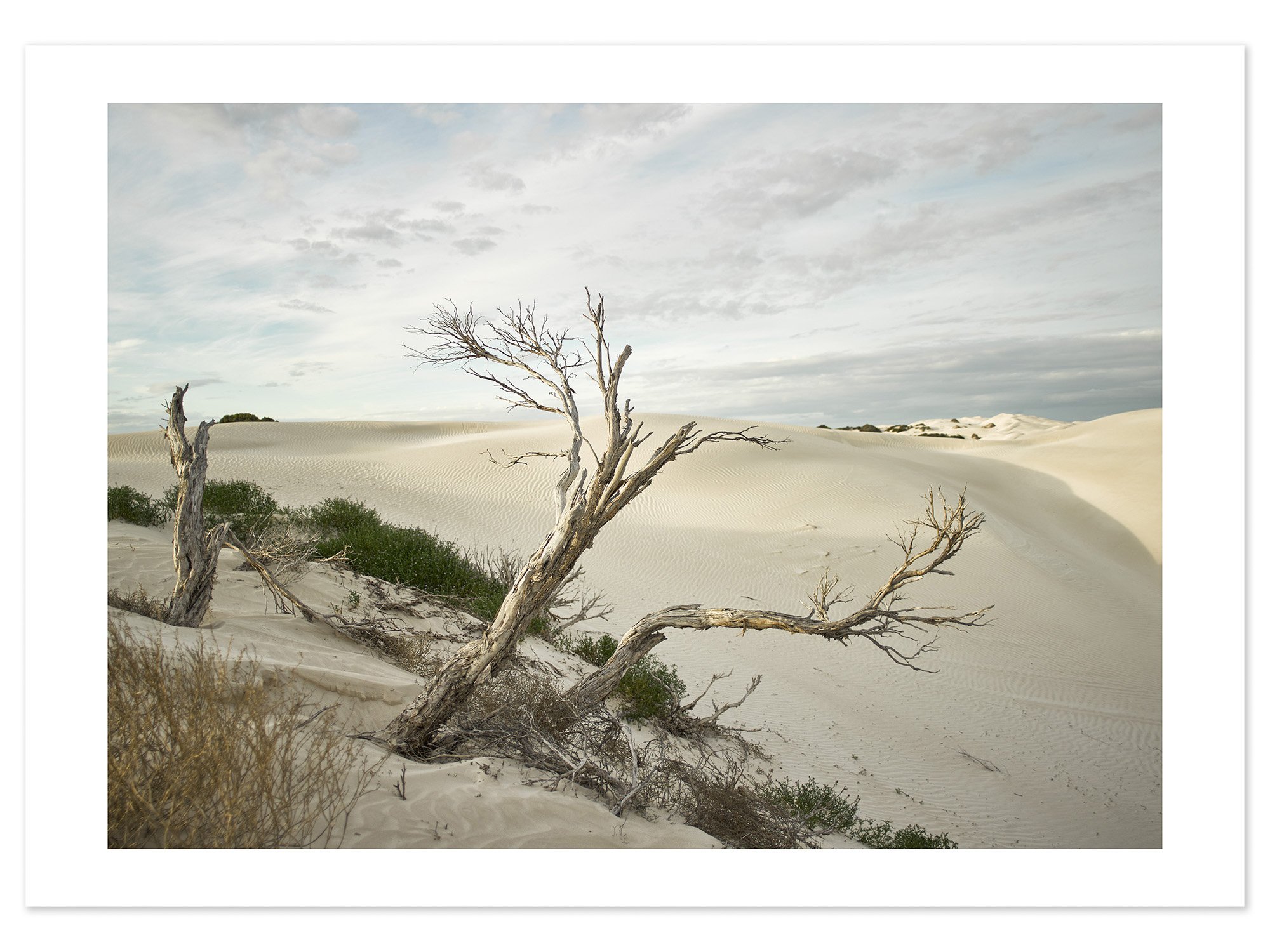 Yanerbie Sand Dunes