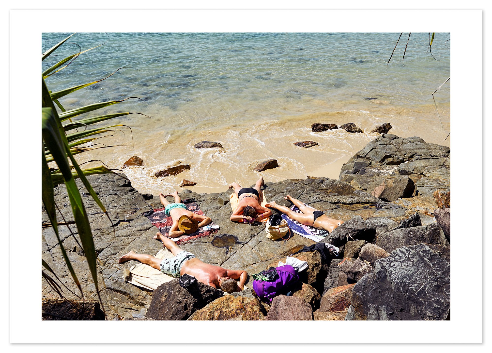 Noosa Sunbathers (A0) for web.jpg