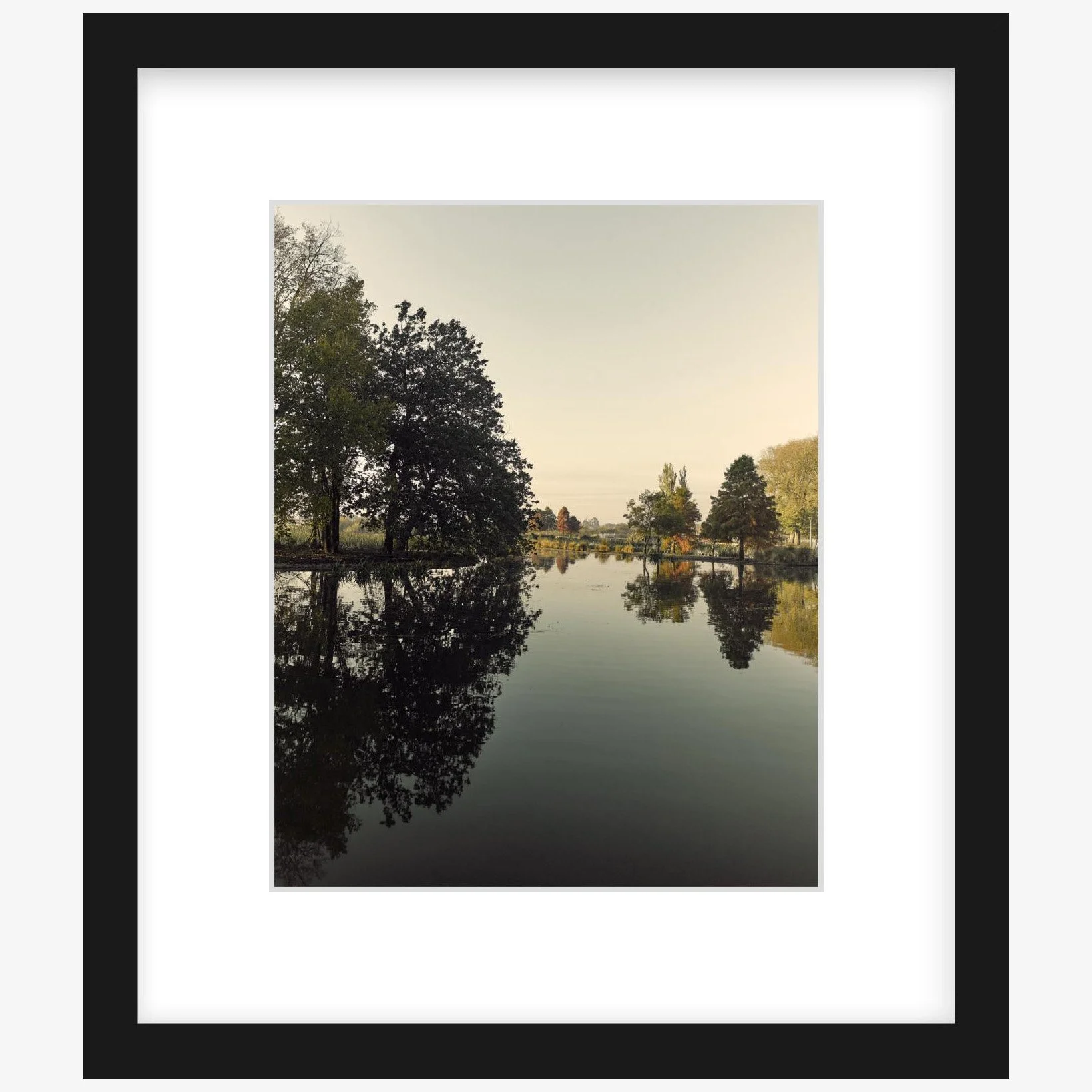 Fairyland - 8" x 10" - black - square.jpg
