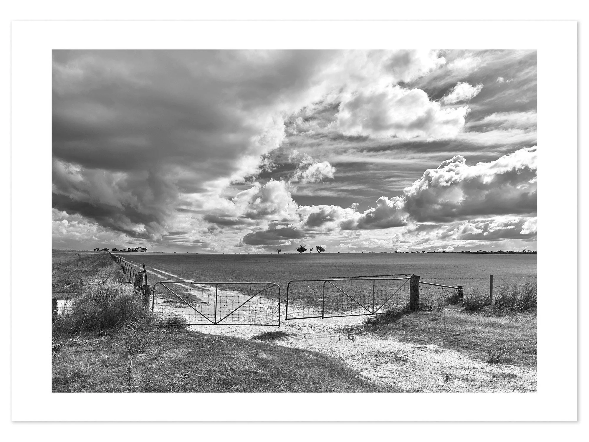Wimmera Paddock (B&W-A1) for web.jpg