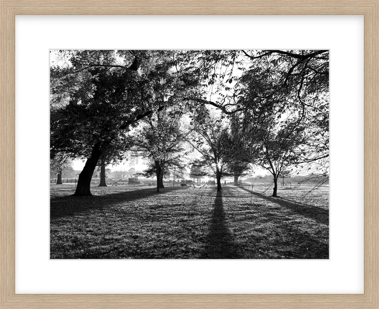 Long Shadows - 12" x 16" wood.jpg