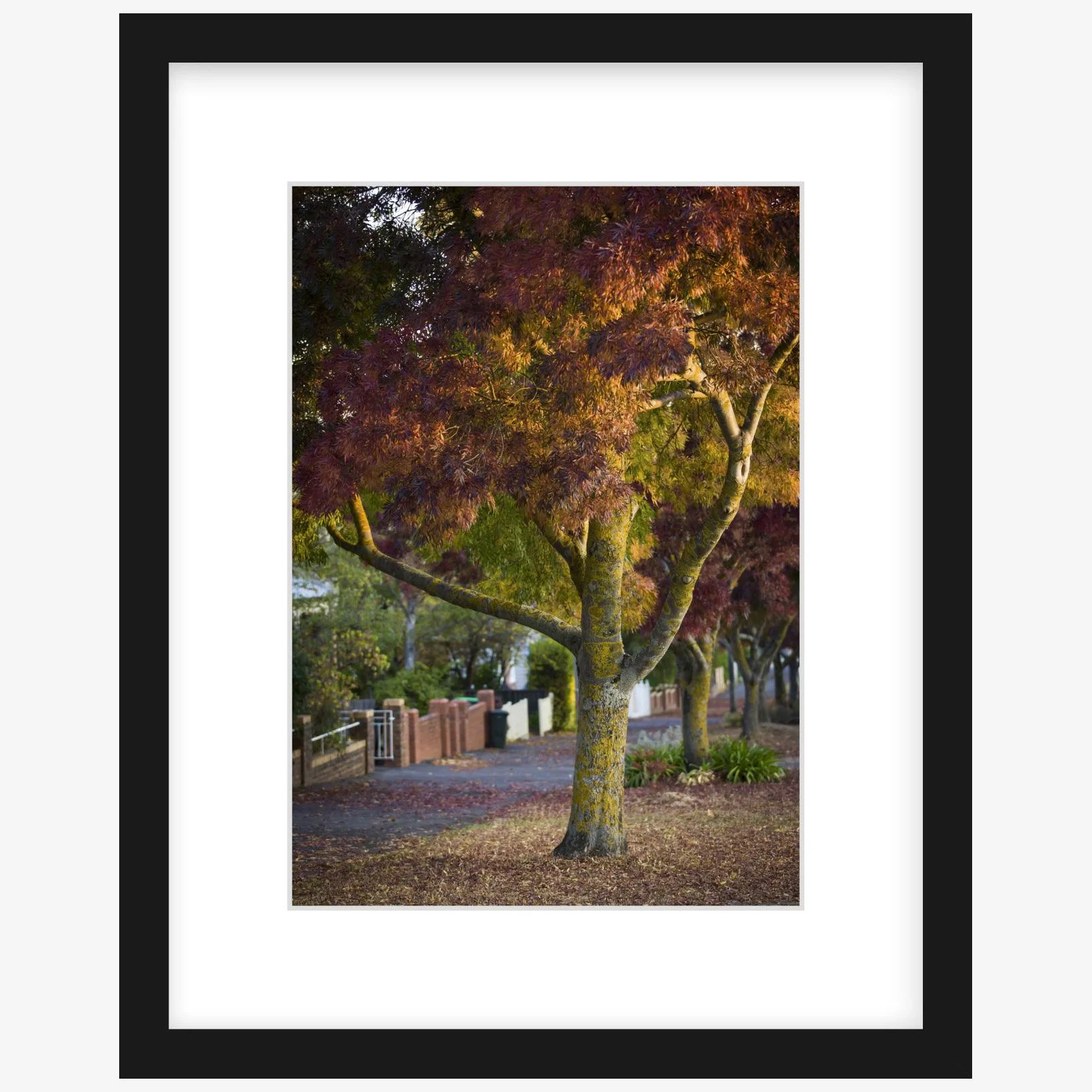 Lydiard St Nth - 210mm x 297mm black - square.jpg