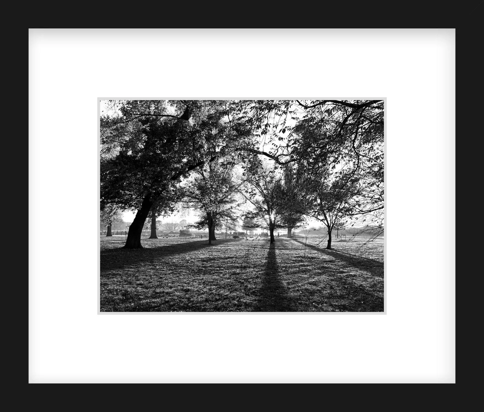 Long Shadows - 6" x 8" black.jpg