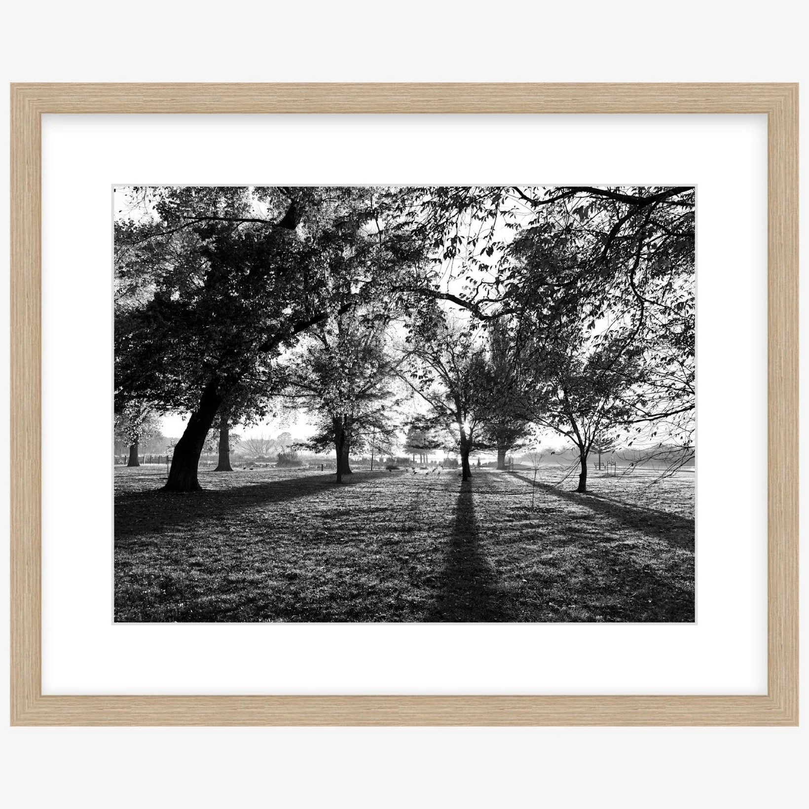 Long Shadows - 12" x 16" wood - square.jpg