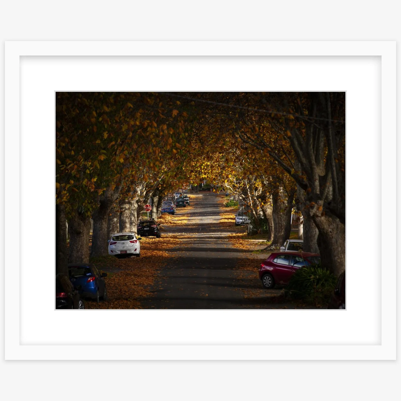Autumn in Frank St - 12" x 16" Lenin slim - square.jpg