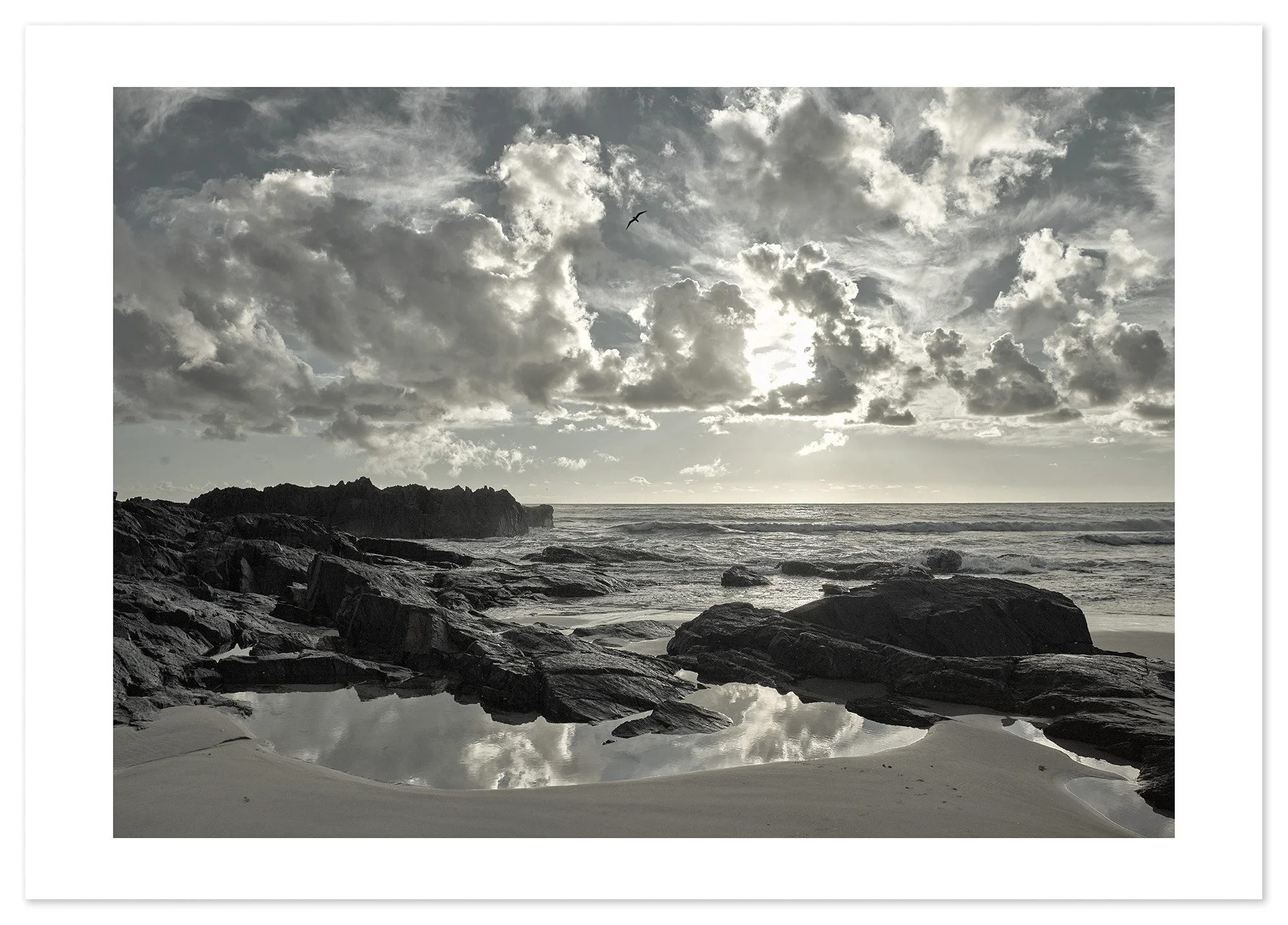 Scotts Head (A1) for web.jpg