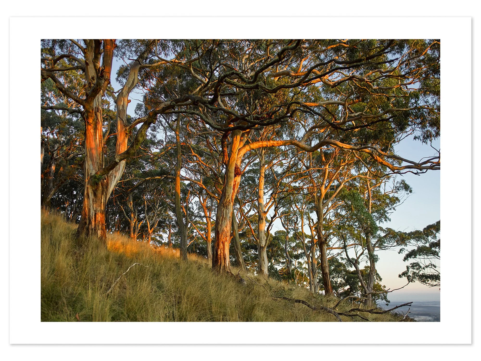 Mt Buninyong at dusk 02