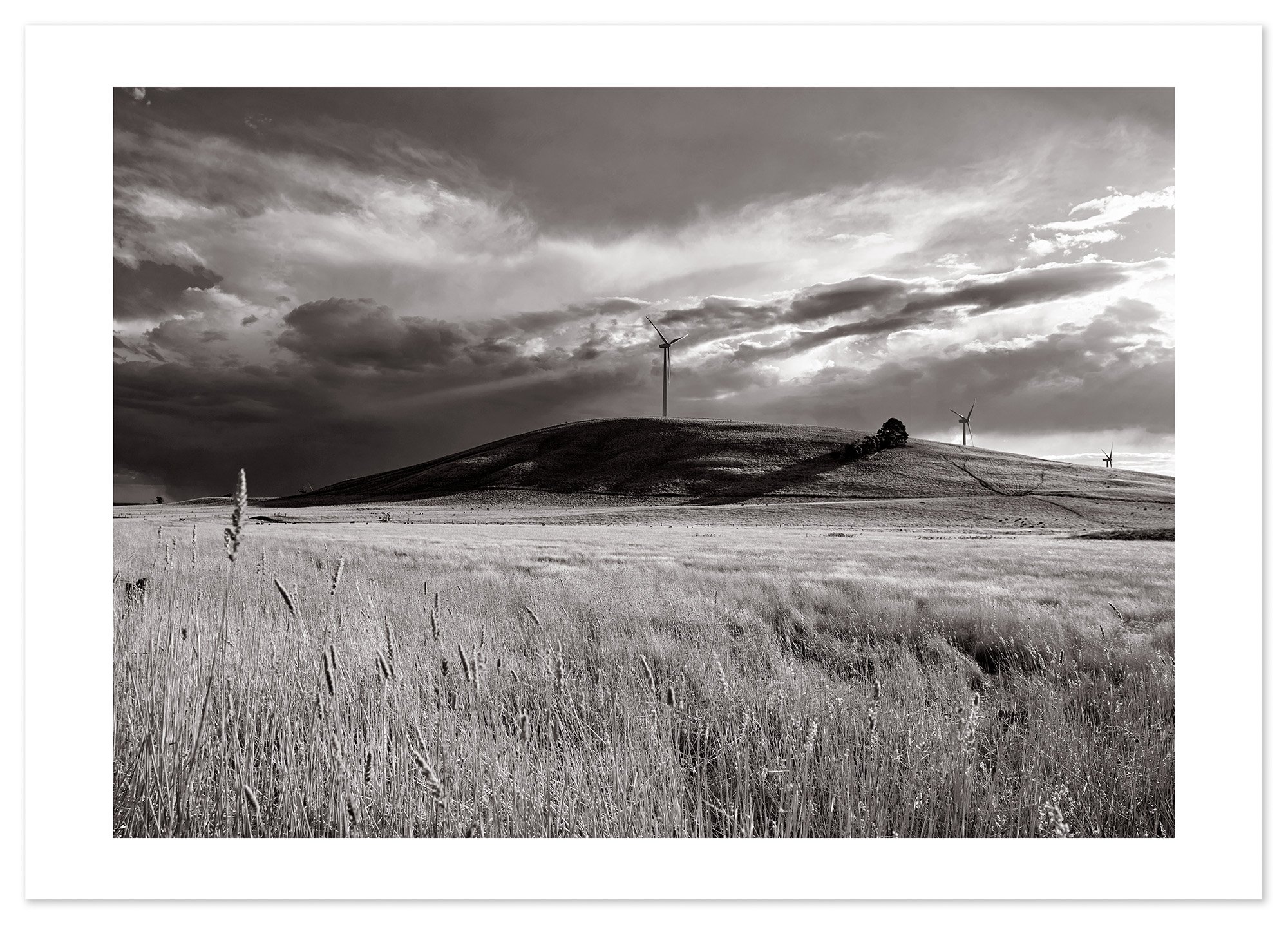 Waubra Wind Farm 01 (A1) for web.jpg