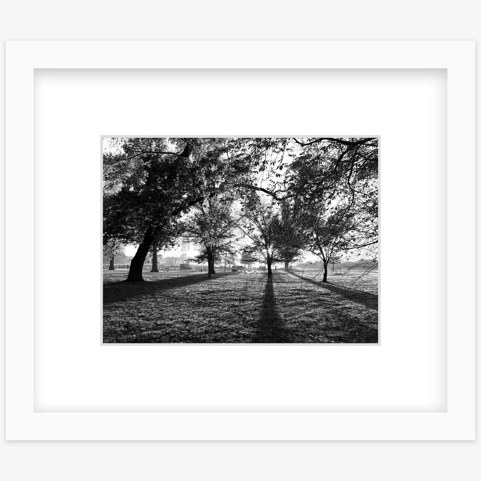Long Shadows - 6" x 8" white - square.jpg