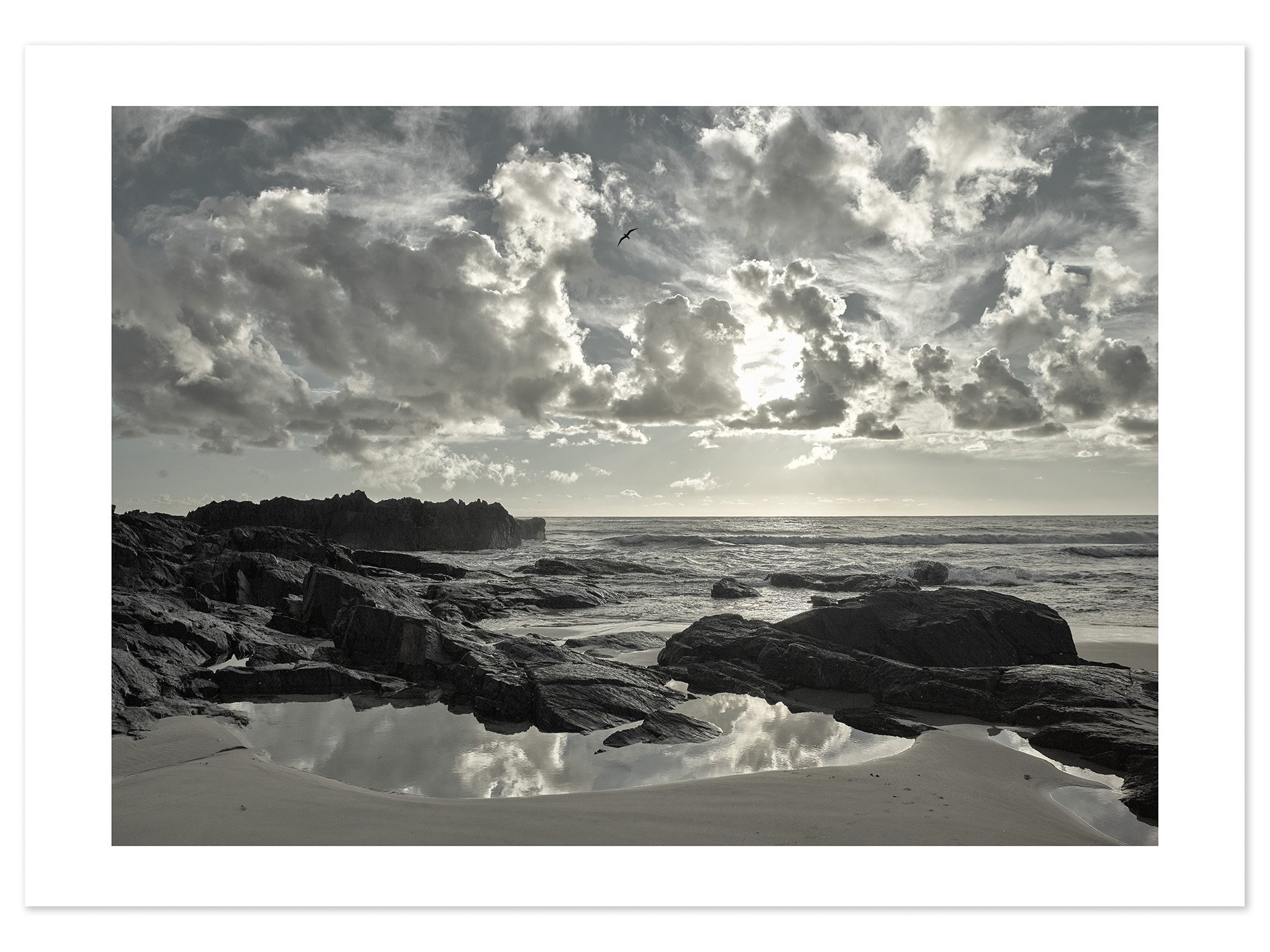 Scotts Head (A1) for web.jpg