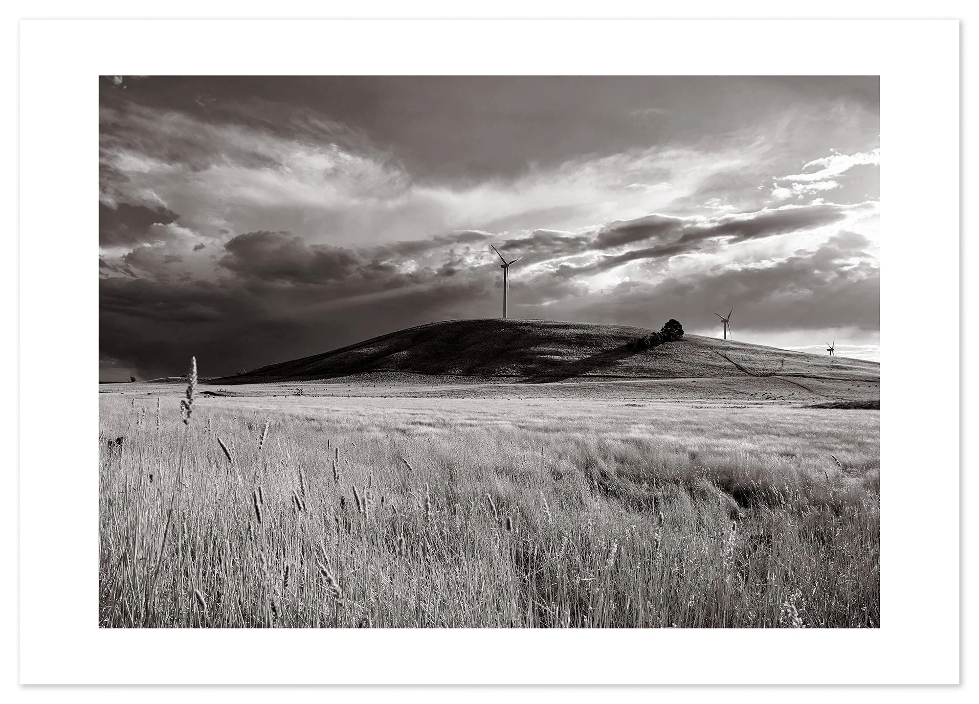 Waubra Wind Farm 01 (A2) for web.jpg