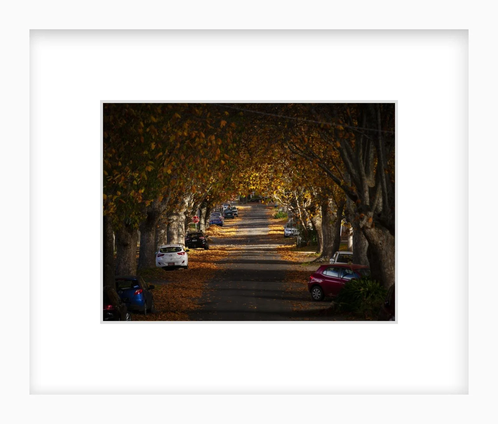 Autumn in Frank St - 6" x 8" Lenin skinny.jpg